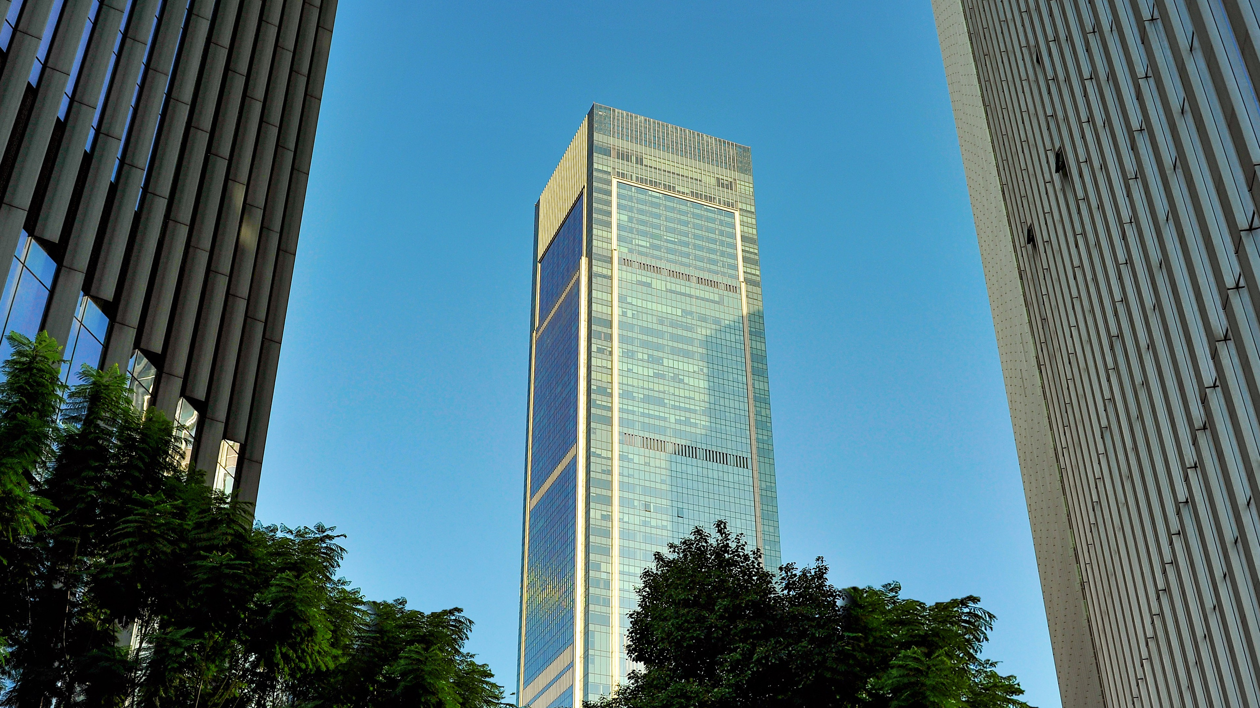 Непредсказуемый Чунсын