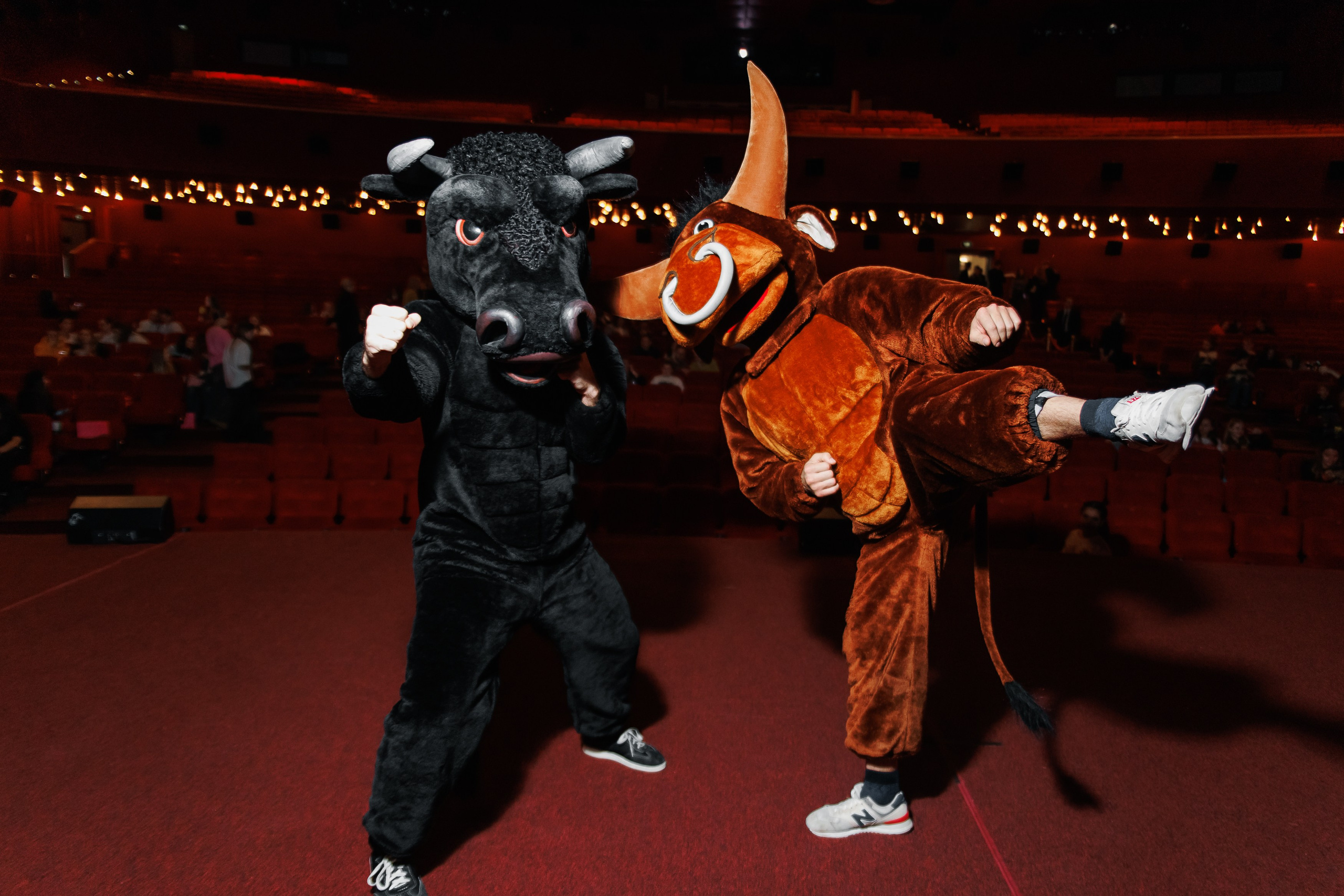 Закрытый показ Шоу. Репортажный фотограф. Москва. Алина Ланская