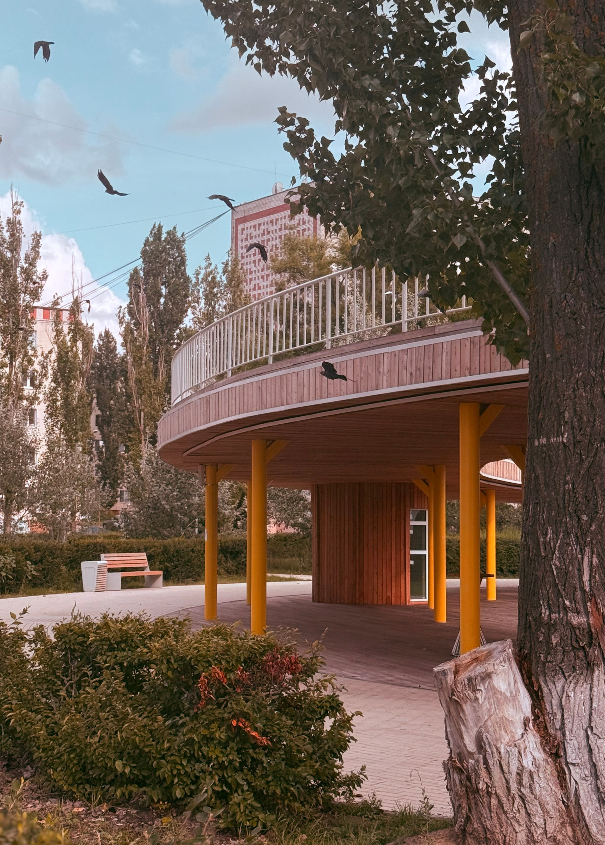 Уличный. Фотограф Арсений Королев