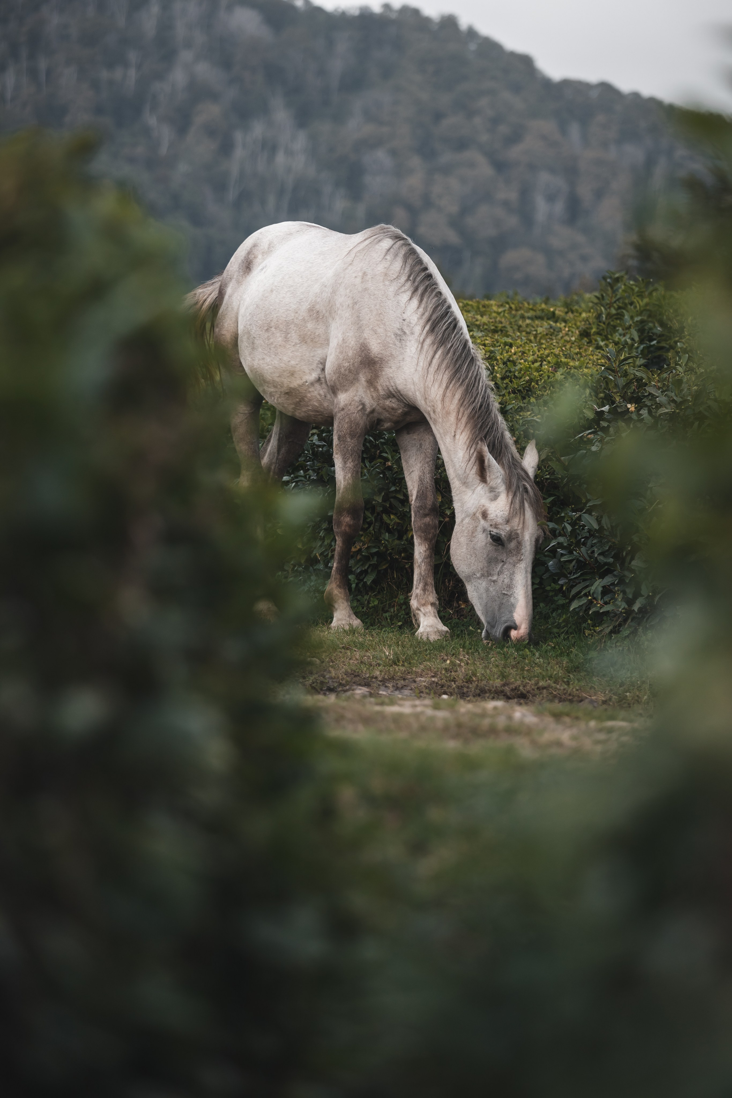 ПРИРОДА. Фотограф Александр Бормотин