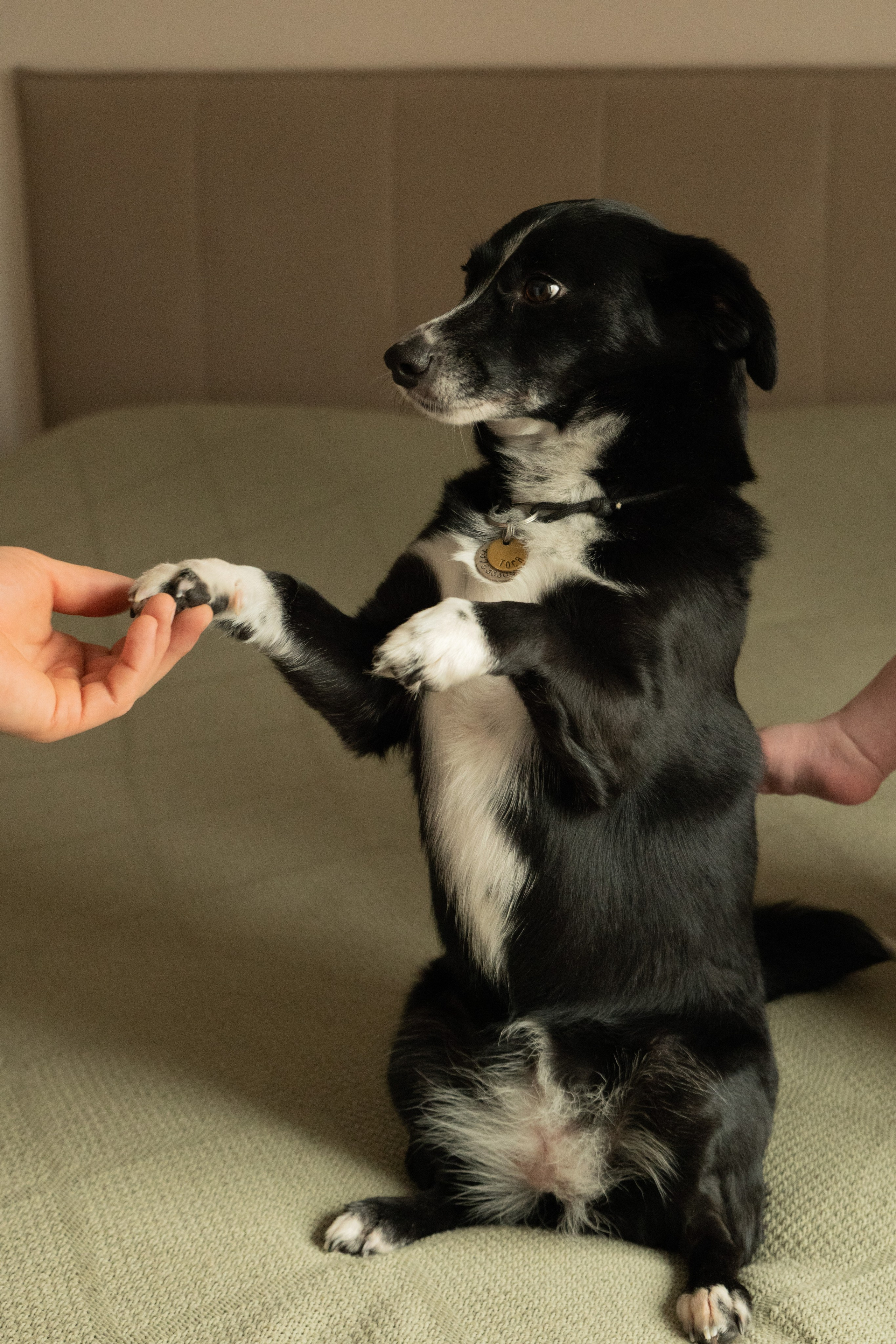 Вместе. Фотограф видеограф Ольга Василевская