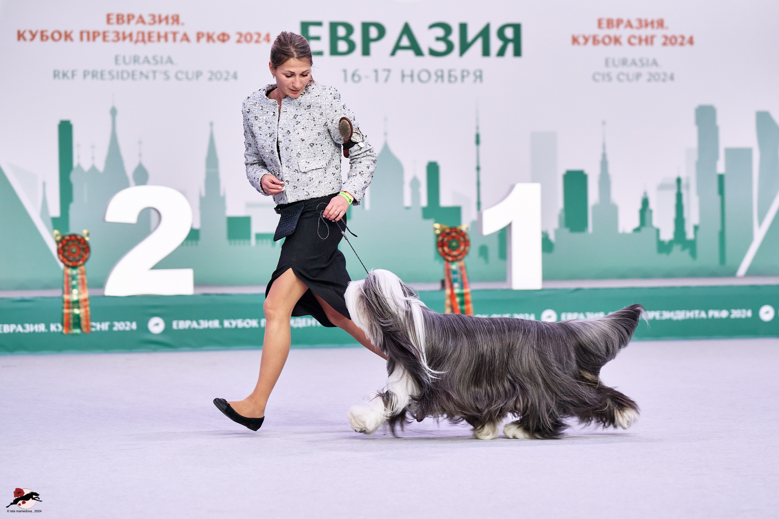 17.11.2024 «ЕВРАЗИЯ. КУБОК СНГ 2024»