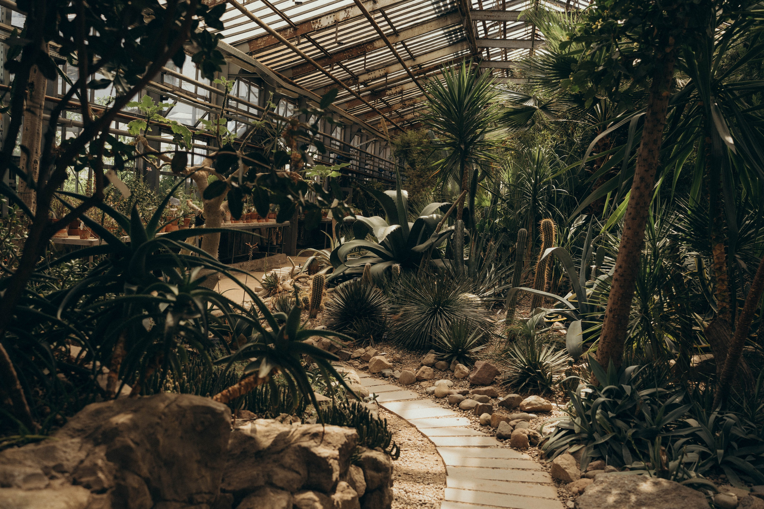 Главное —быть рядом