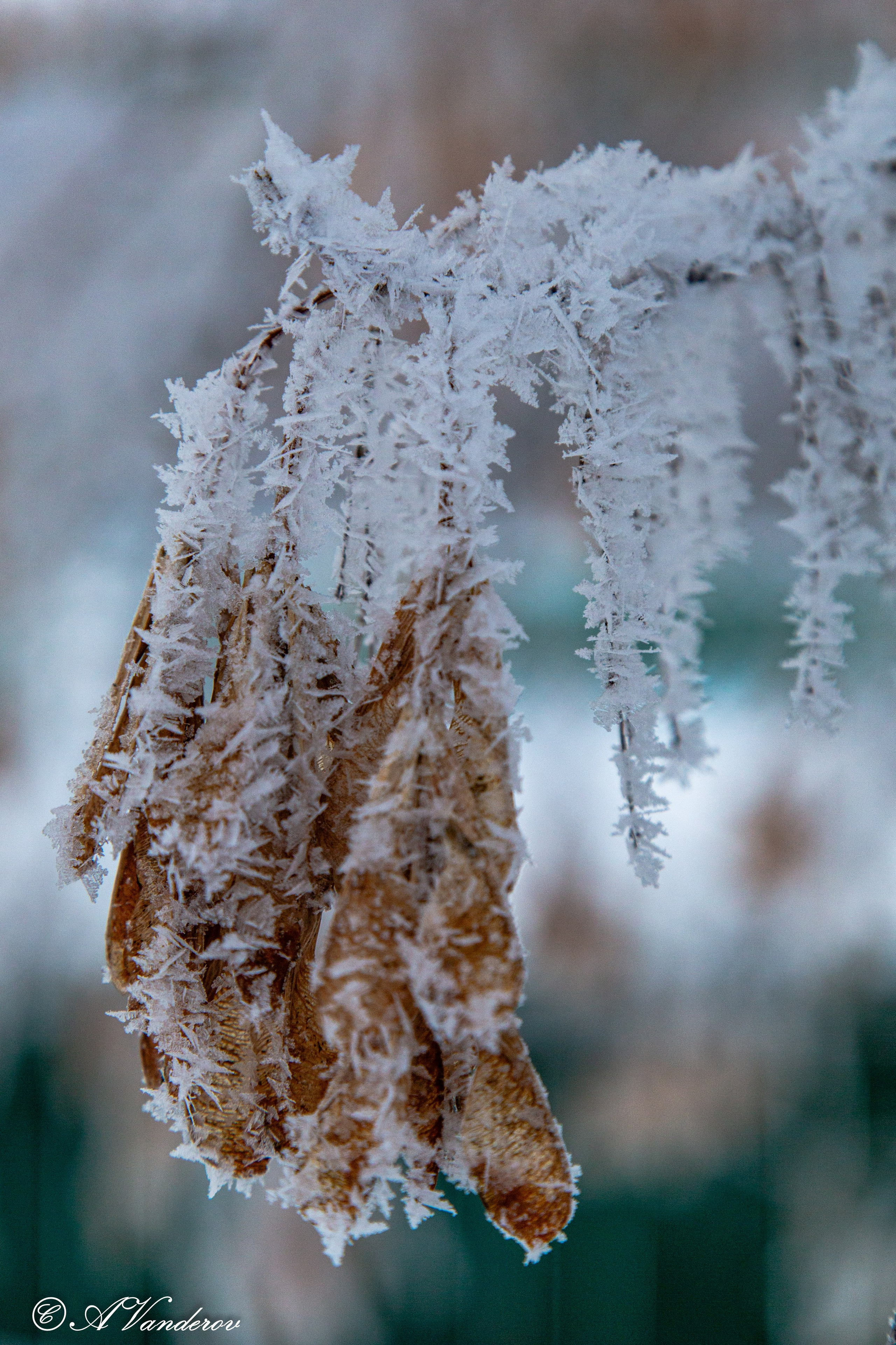 Красота природы. Фотограф Омск | Александр Вандеров