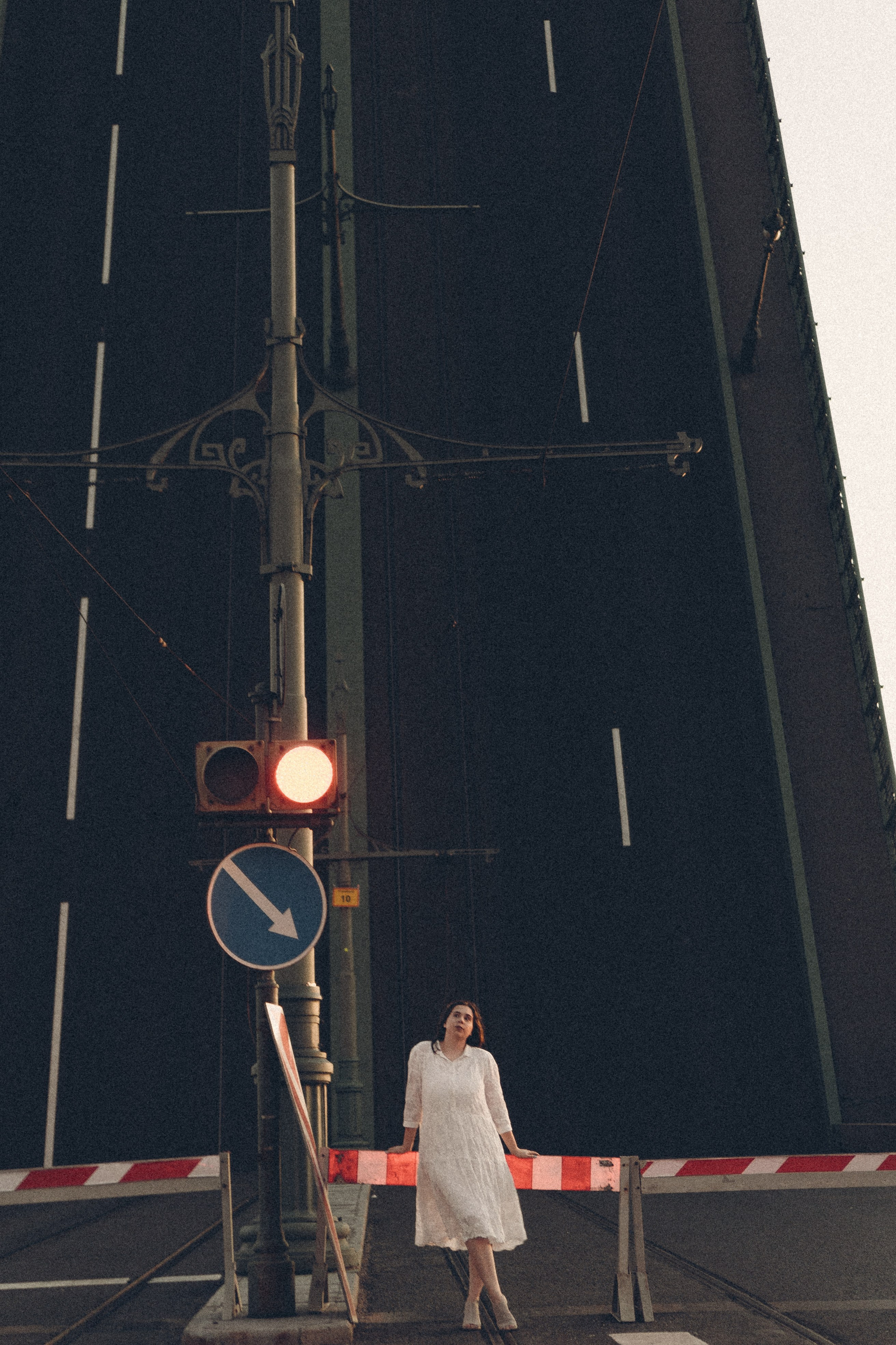 РАССВЕТ С РАЗВОДНЫМИ МОСТАМИ. Профессиональный фотограф, Санкт-Петербург — Виктория Богомолова