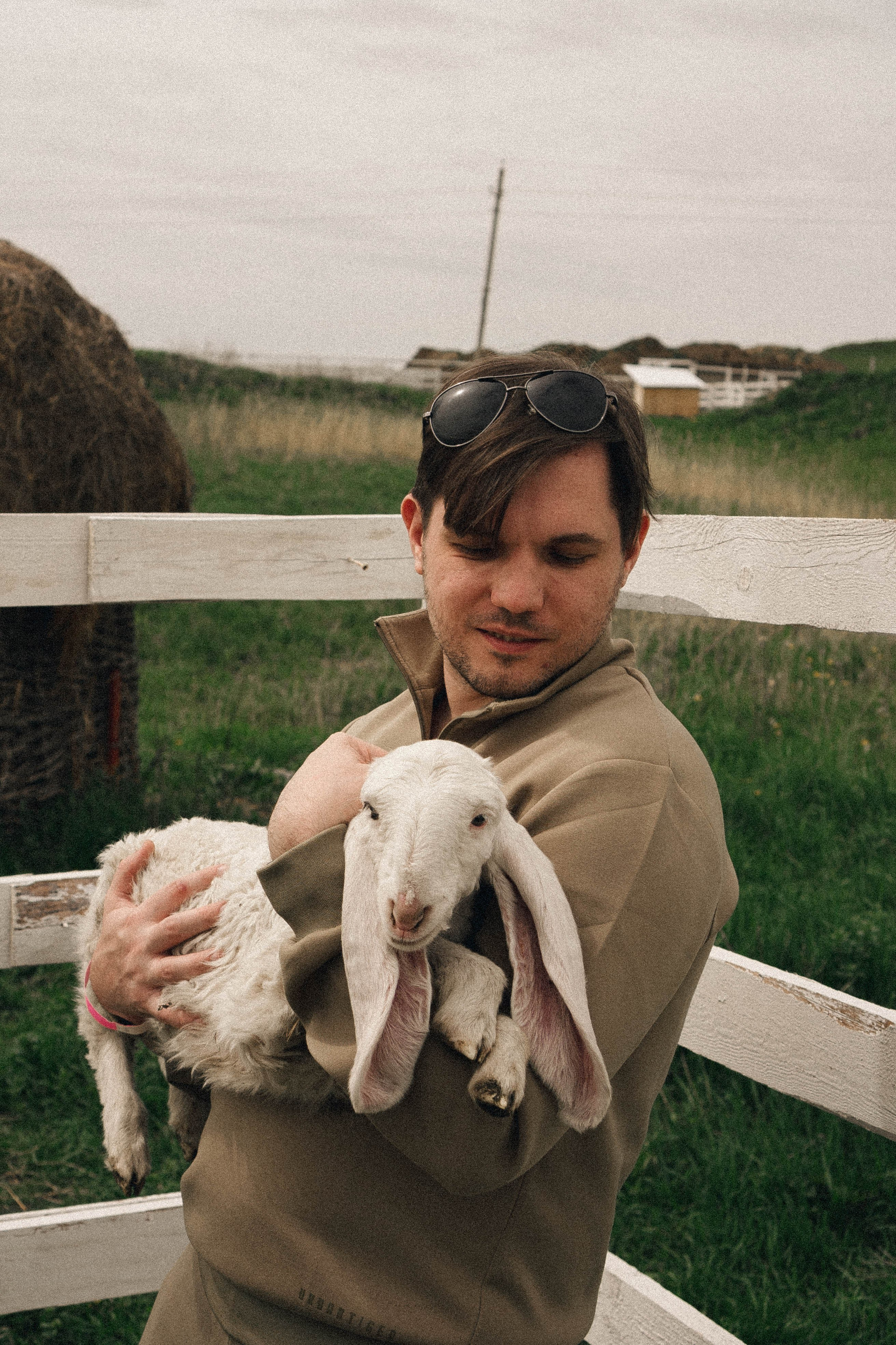 Ферма Альпак. Профессиональный фотограф, Санкт-Петербург — Виктория Богомолова