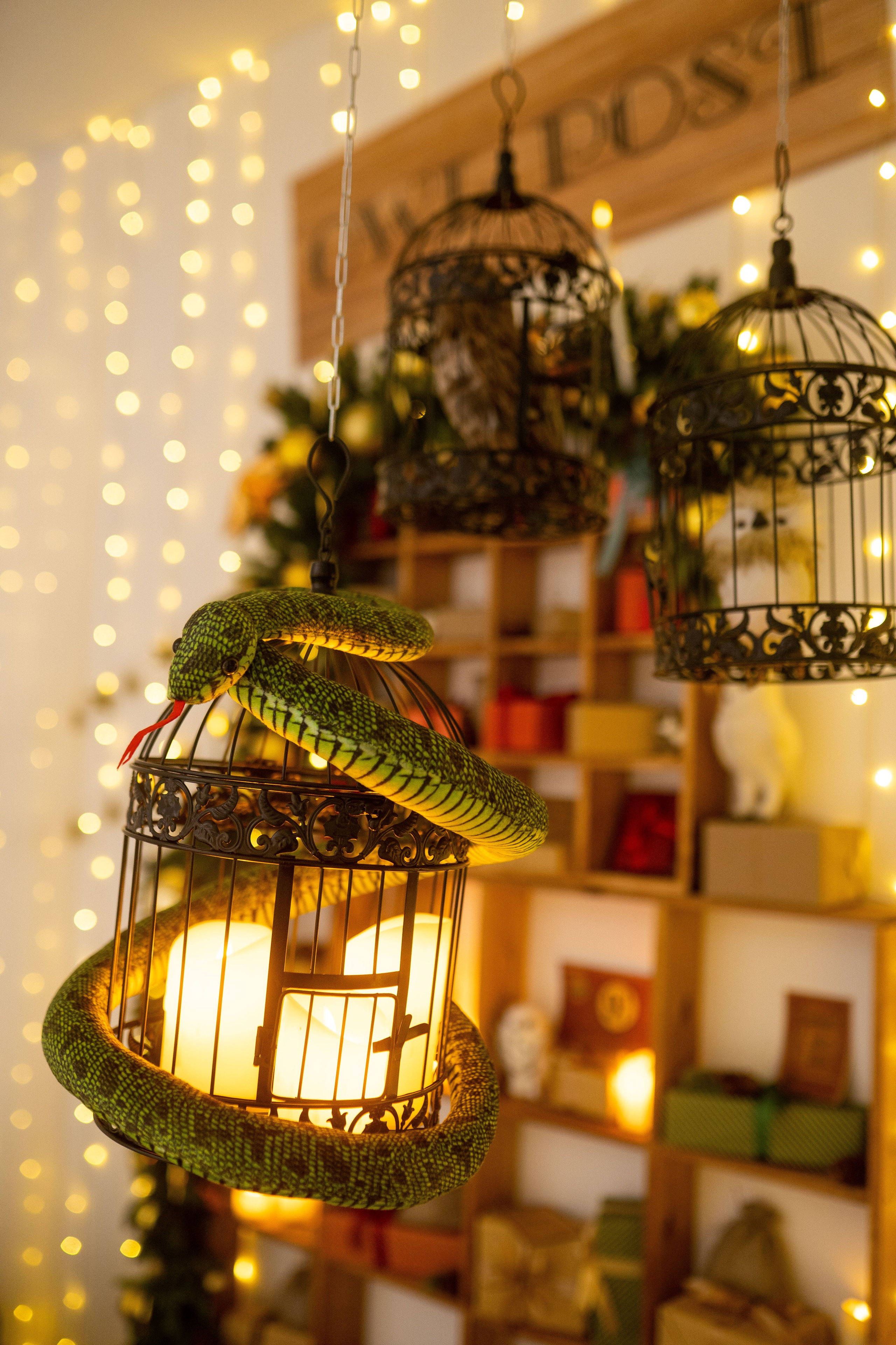 Зал Детский. Фотограф г. Хабаровск. Семейные и индивидуальные съёмки