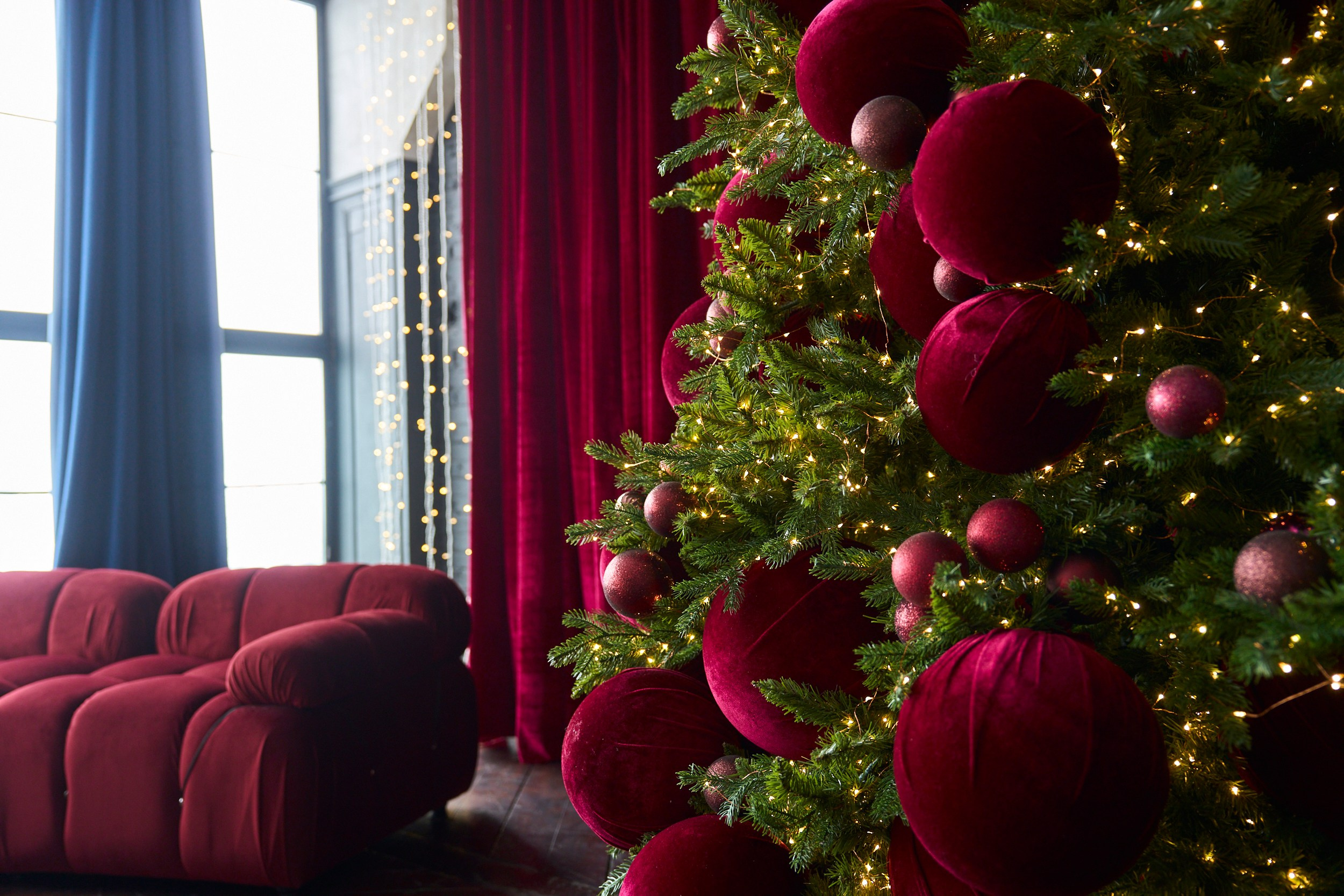 Вуд (Wood). Фотограф г. Хабаровск. Семейные и индивидуальные съёмки