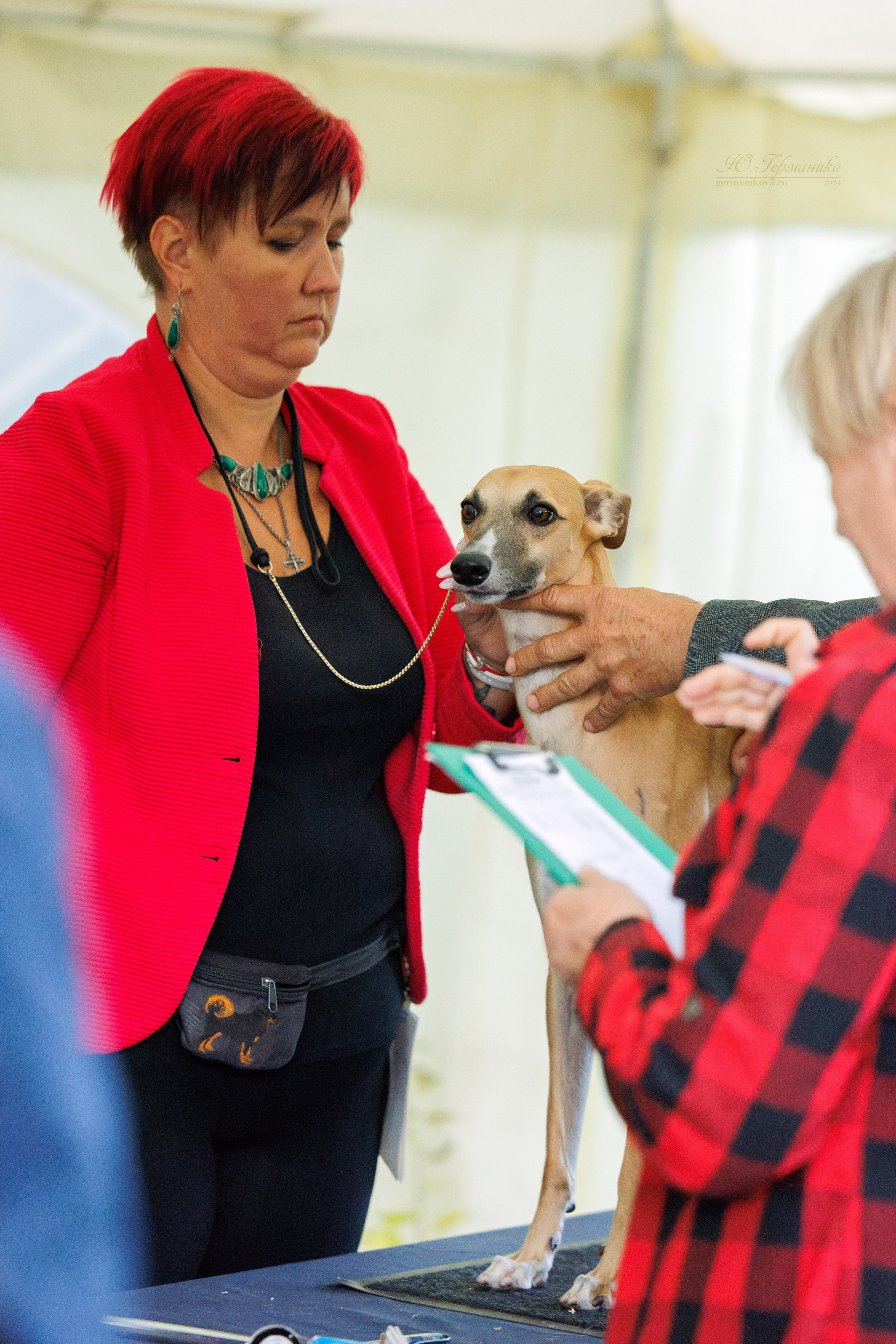 Астана 2хCACIB 17-18.08.2024. Фотограф-анималист Юлия Германика