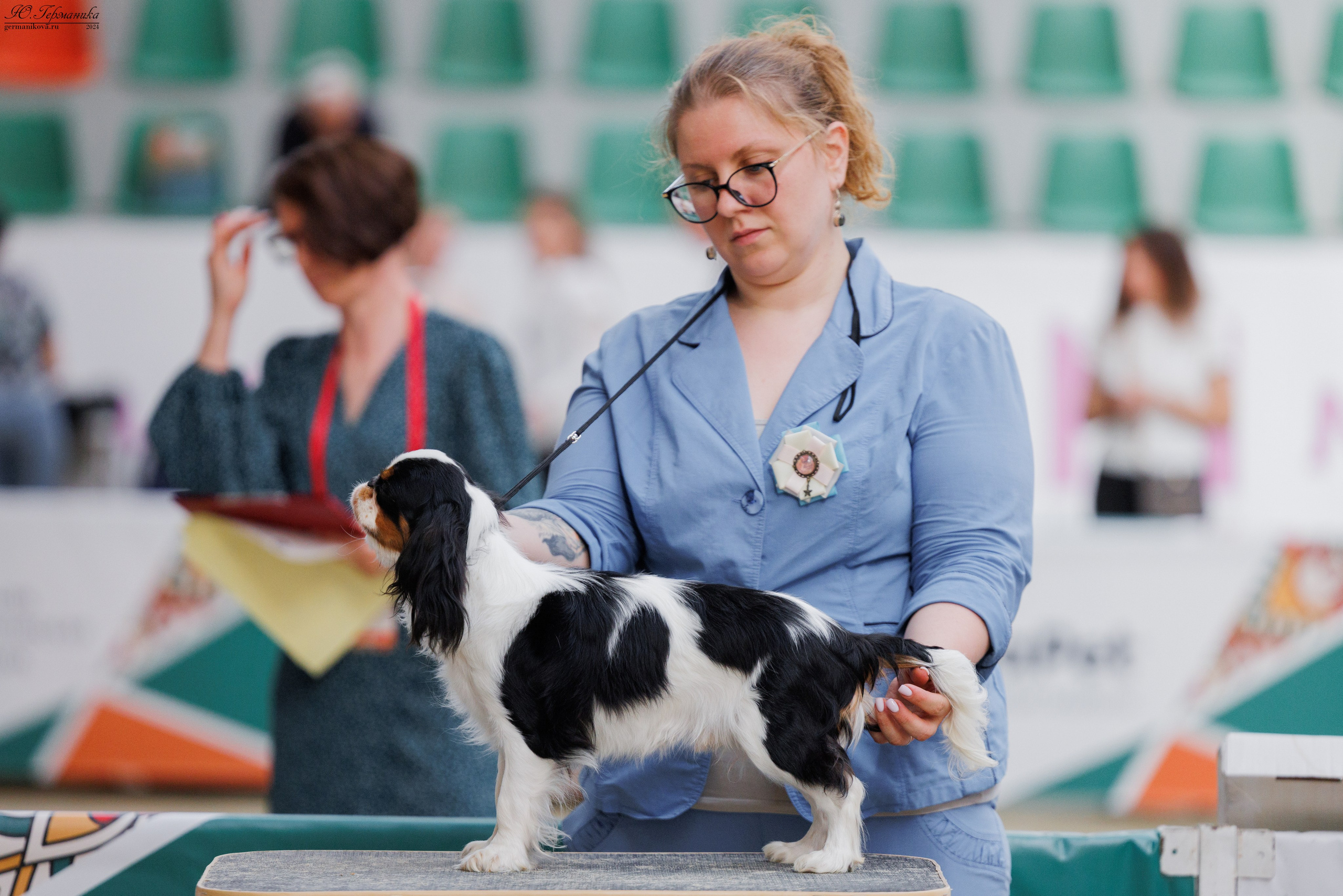 РОССИЯ 8-9.06.2024. Фотограф-анималист Юлия Германика