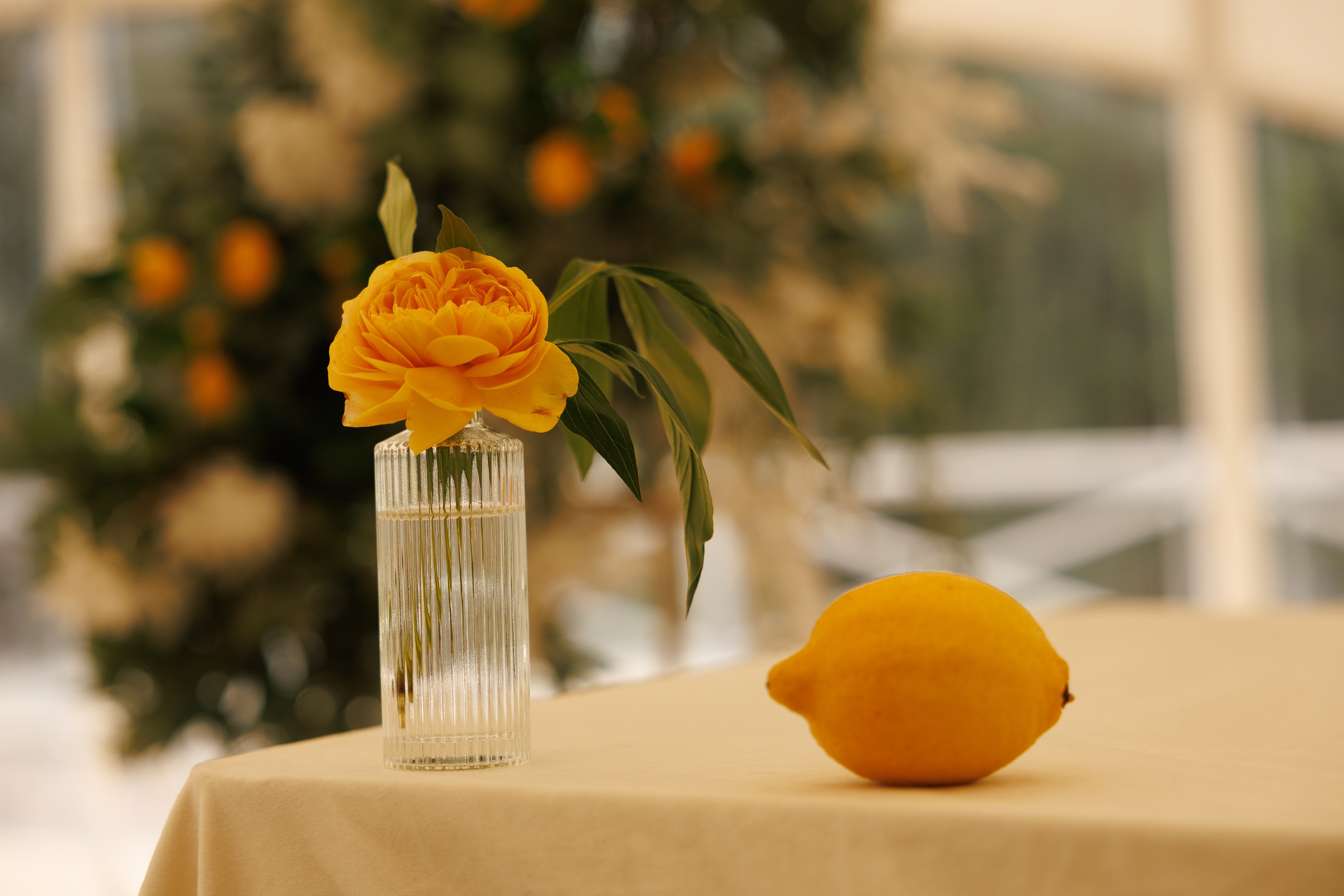 Июньская свадьба на берегу реки. Фотограф Сергей Ртищев в Москве и РФ