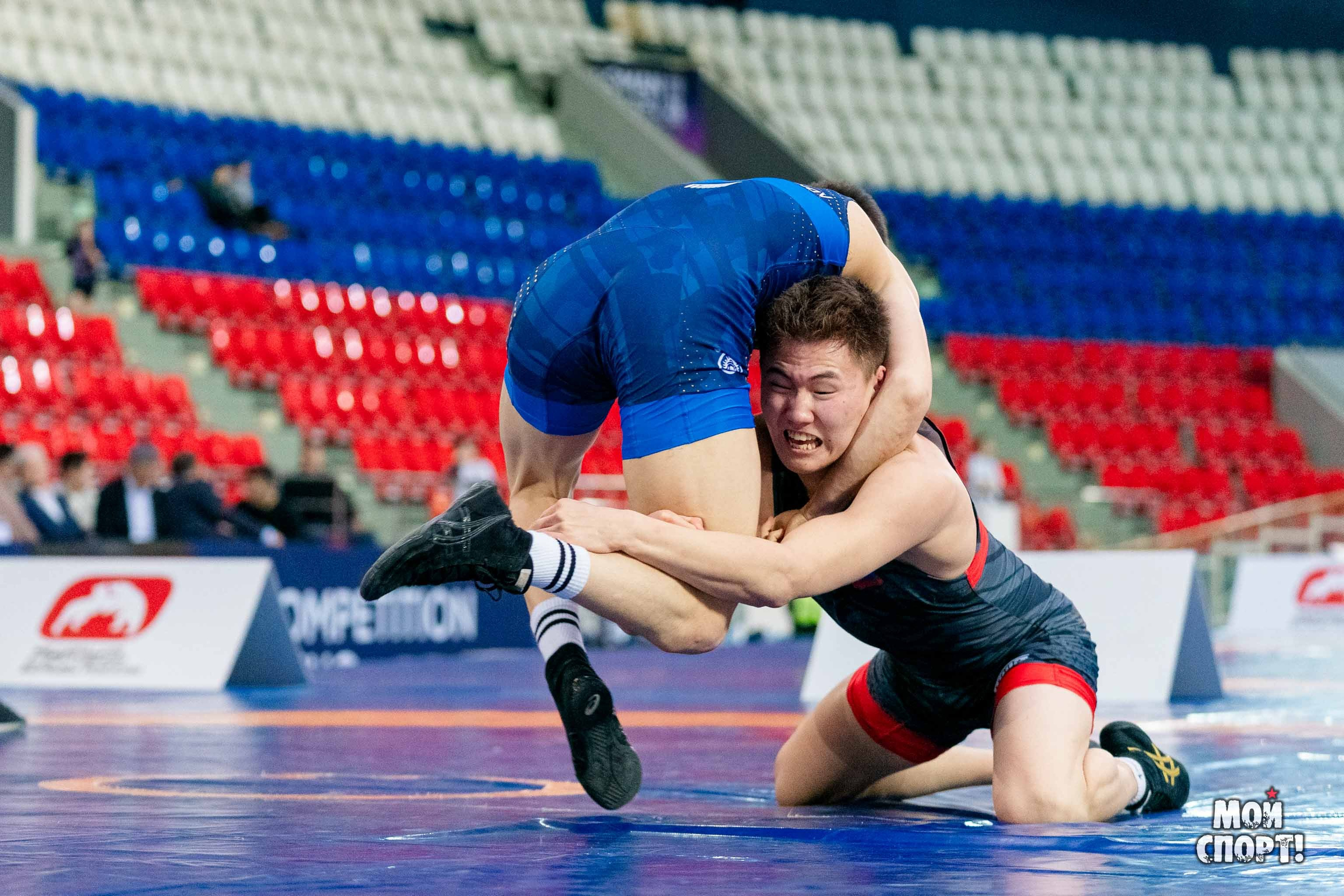 XII Международные соревнования по спортивной борьбе пам. Р. М. Дмитриева. Студия «Мой Спорт!» — все о спорте в Якутии