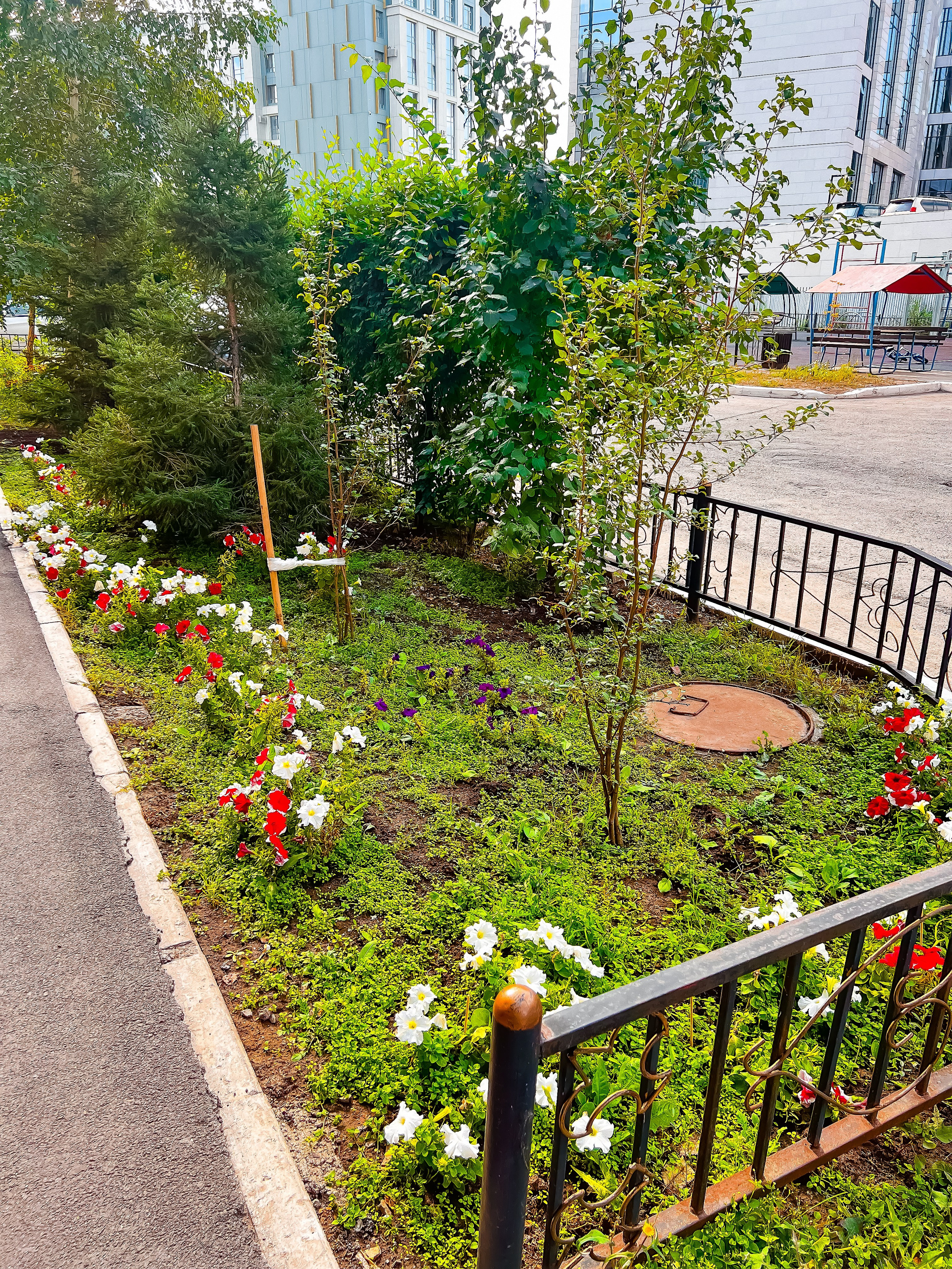 Пример четыре. Семейный и Свадебный фотограф в Астане Александр Астапов