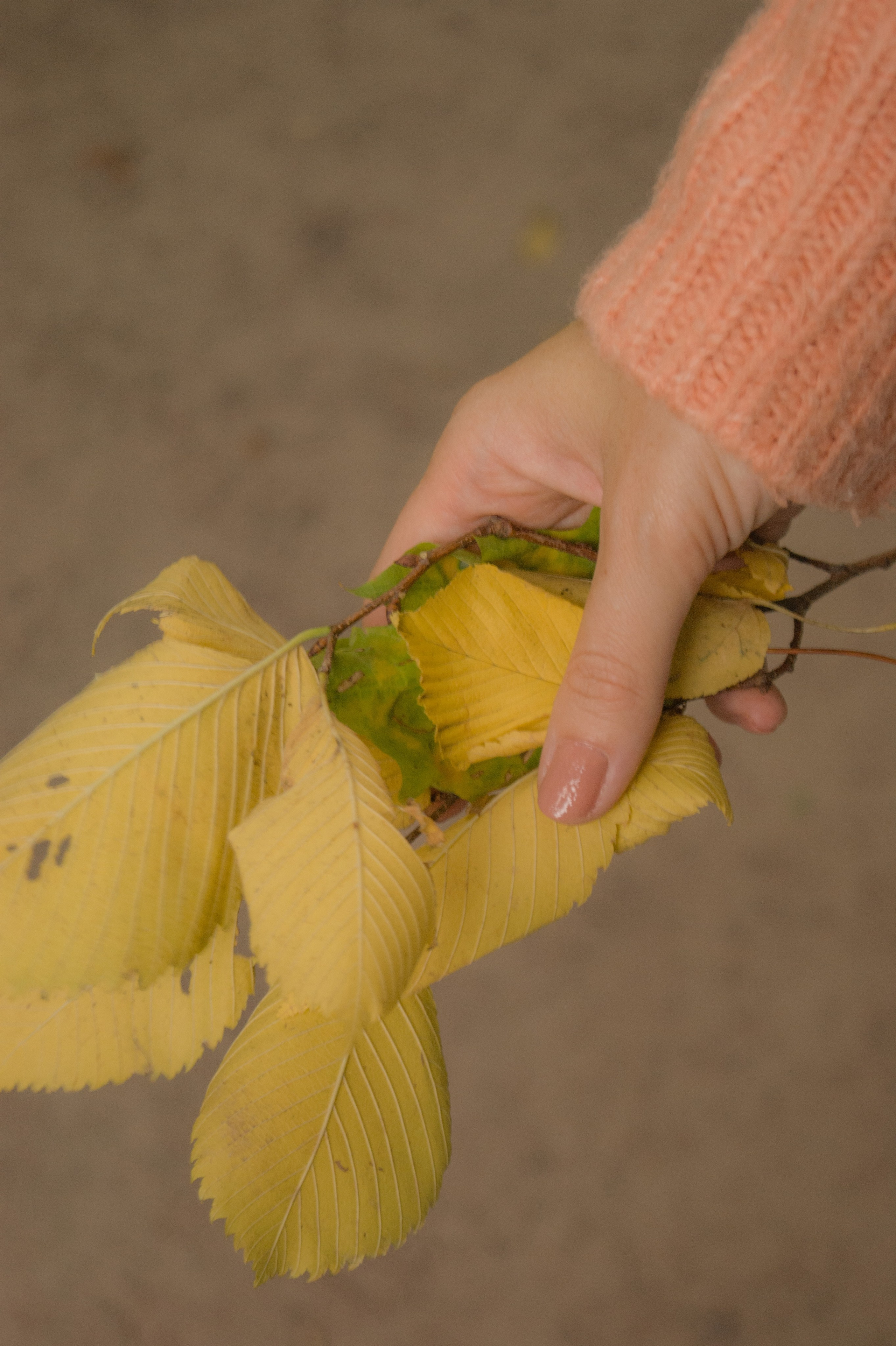 Настя. Художественная фотография