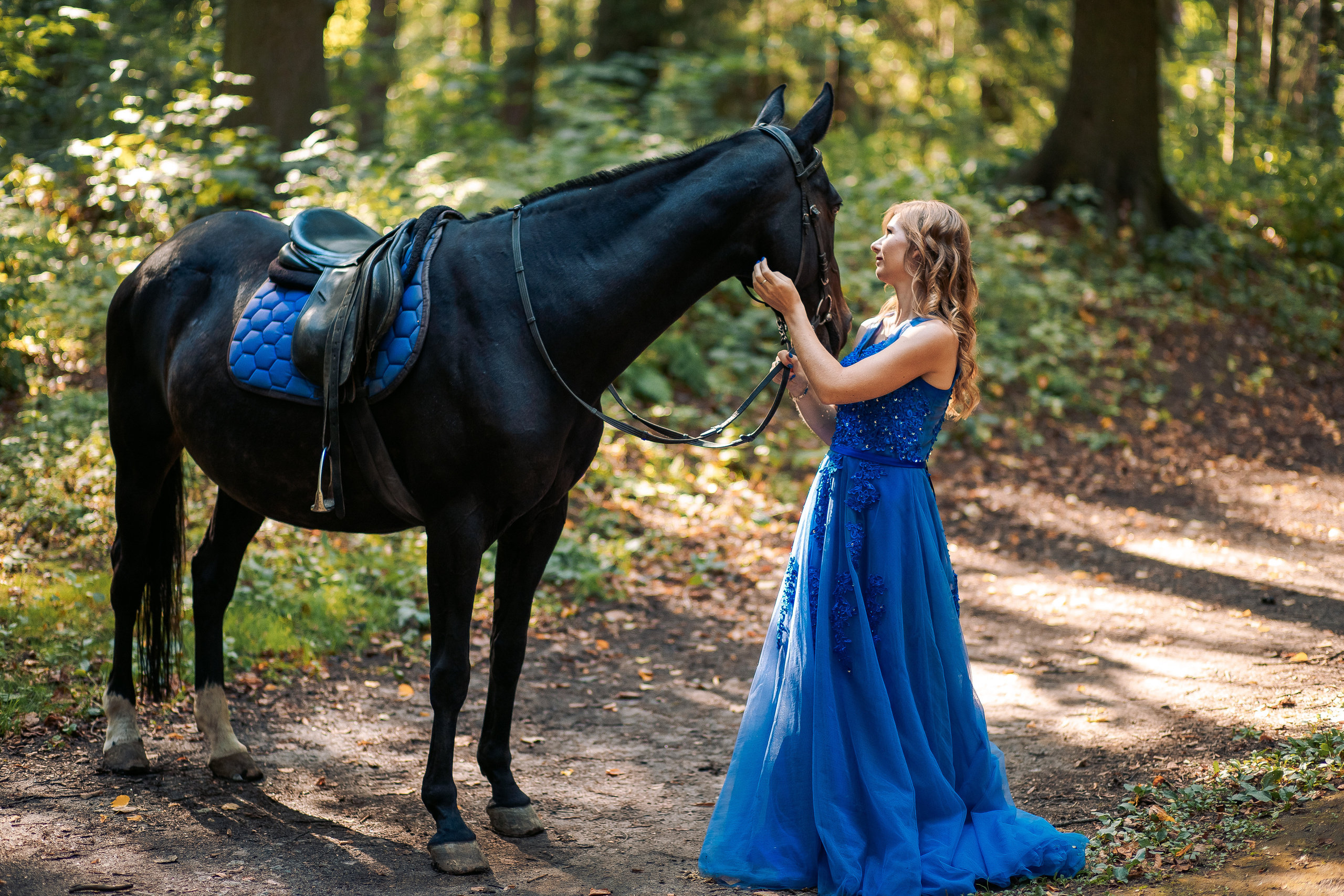 Фотосессия с лошадьми в спб, Шуваловский парк. Фотограф в Санкт-Петербурге, Анна Скворцова