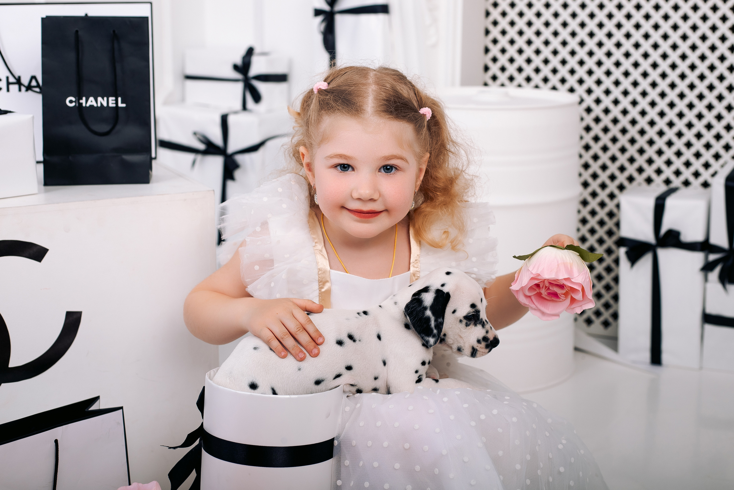 Фотосессия с далматинцами Спб. Фотограф в Санкт-Петербурге, Анна Скворцова