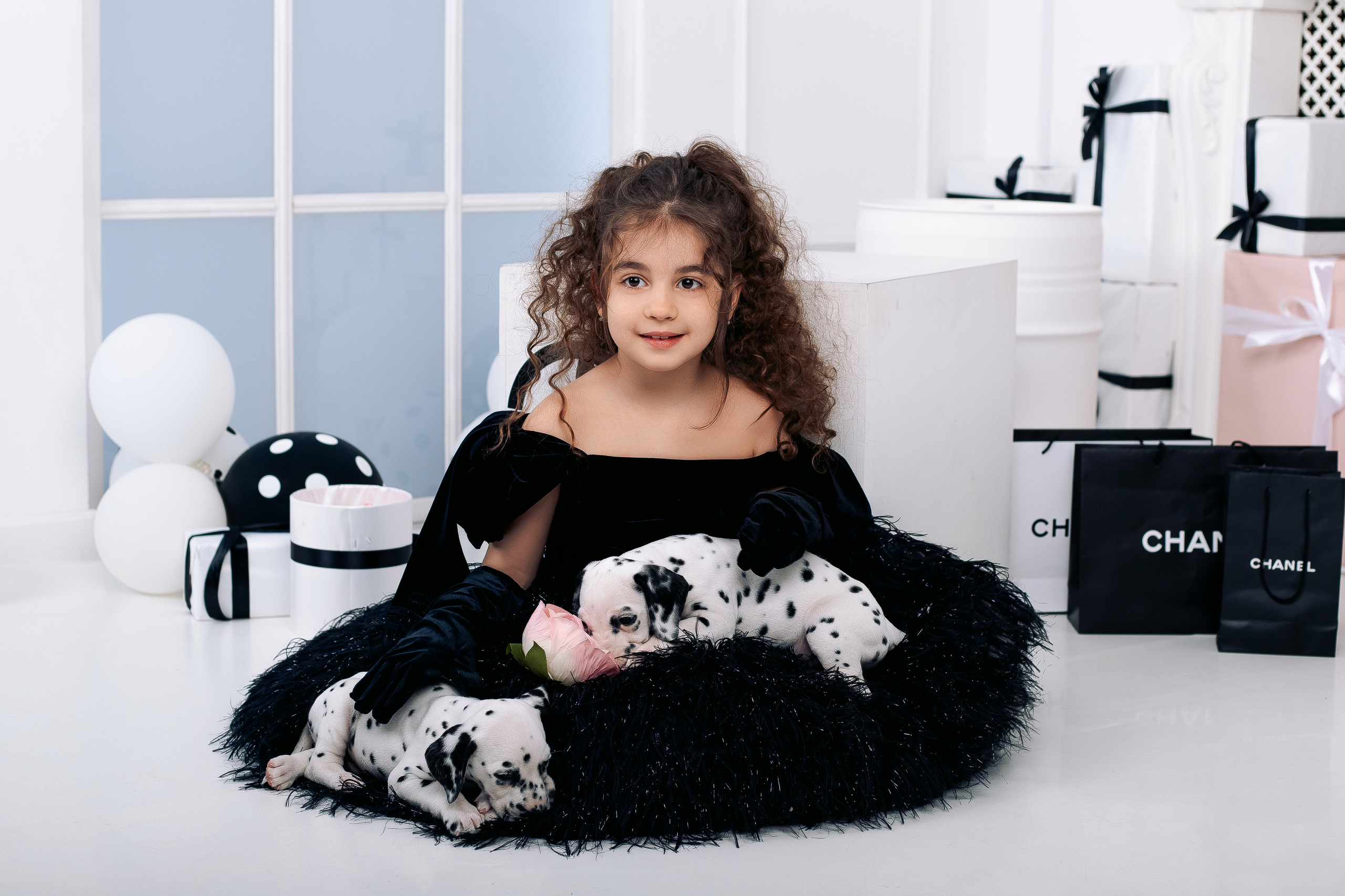 Фотосессия с далматинцами Спб. Фотограф в Санкт-Петербурге, Анна Скворцова