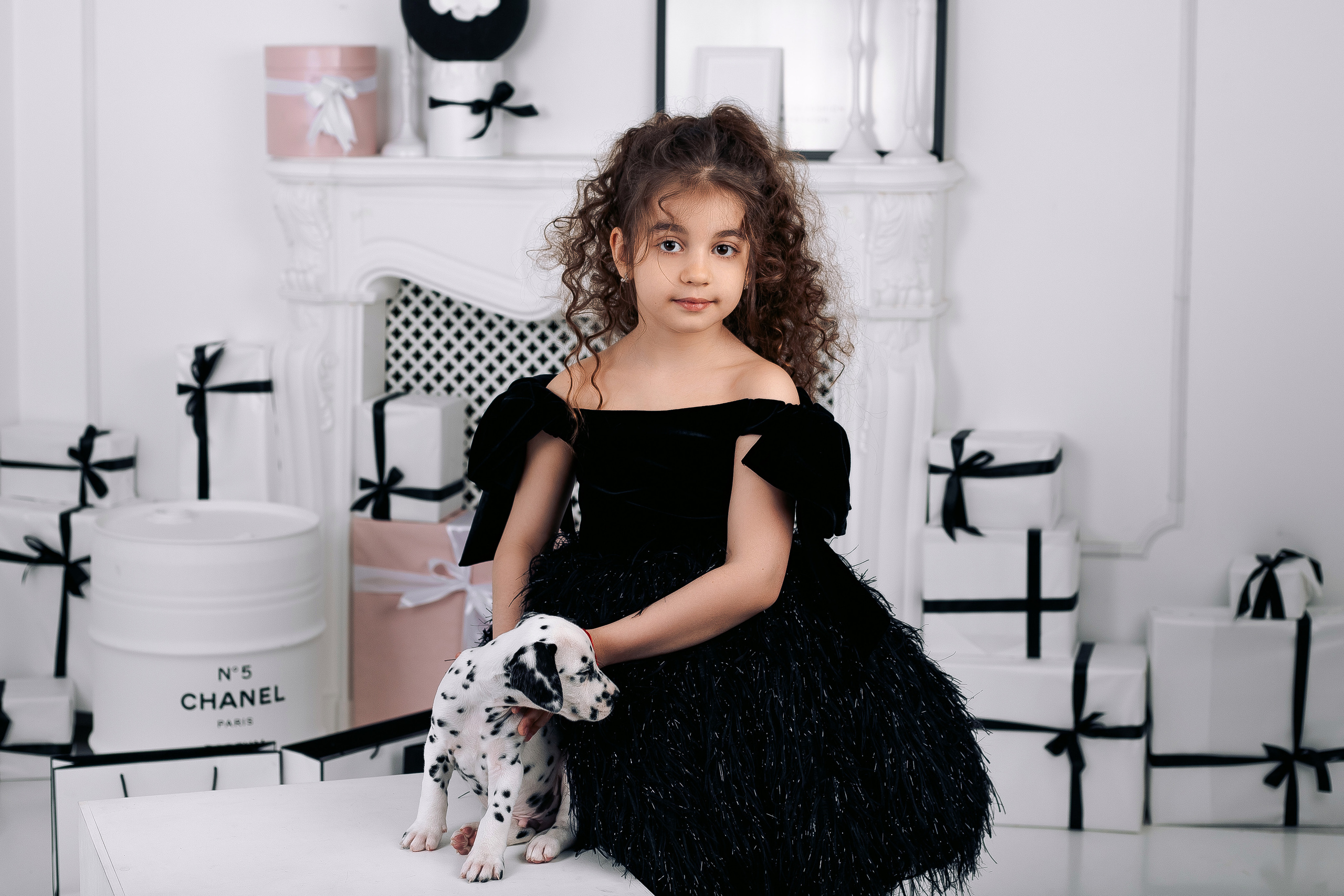 Фотосессия с далматинцами Спб. Фотограф в Санкт-Петербурге, Анна Скворцова