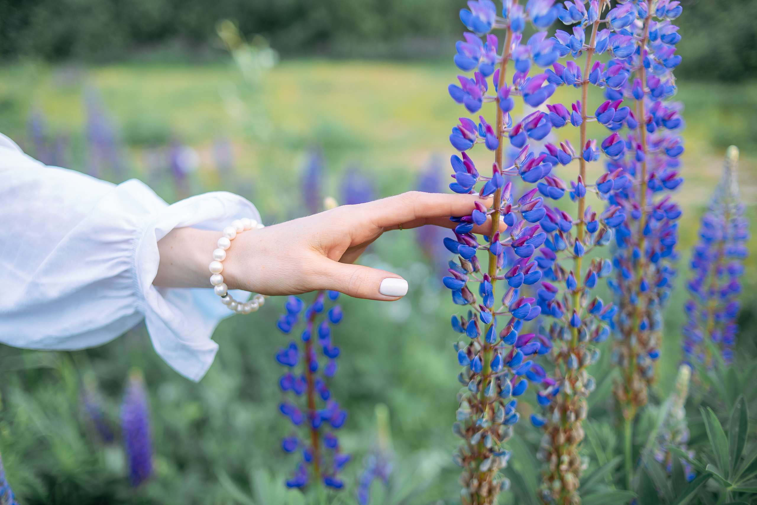 Фотосессия женский портрет с люпинами. Фотограф в Санкт-Петербурге, Анна Скворцова