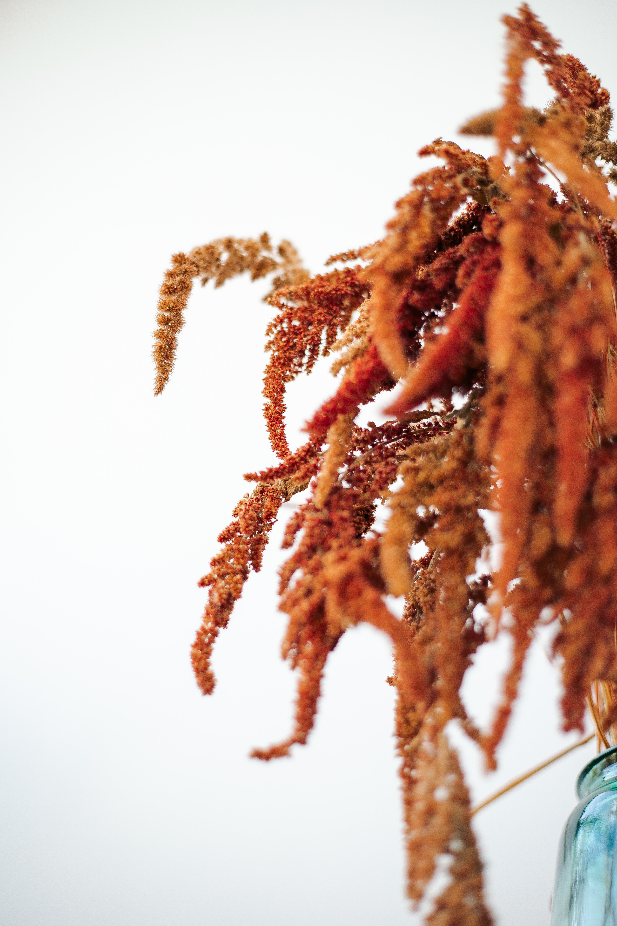 Индивидуальная фотосессия в фотостудии Zapad. Фотограф в Санкт-Петербурге, Анна Скворцова