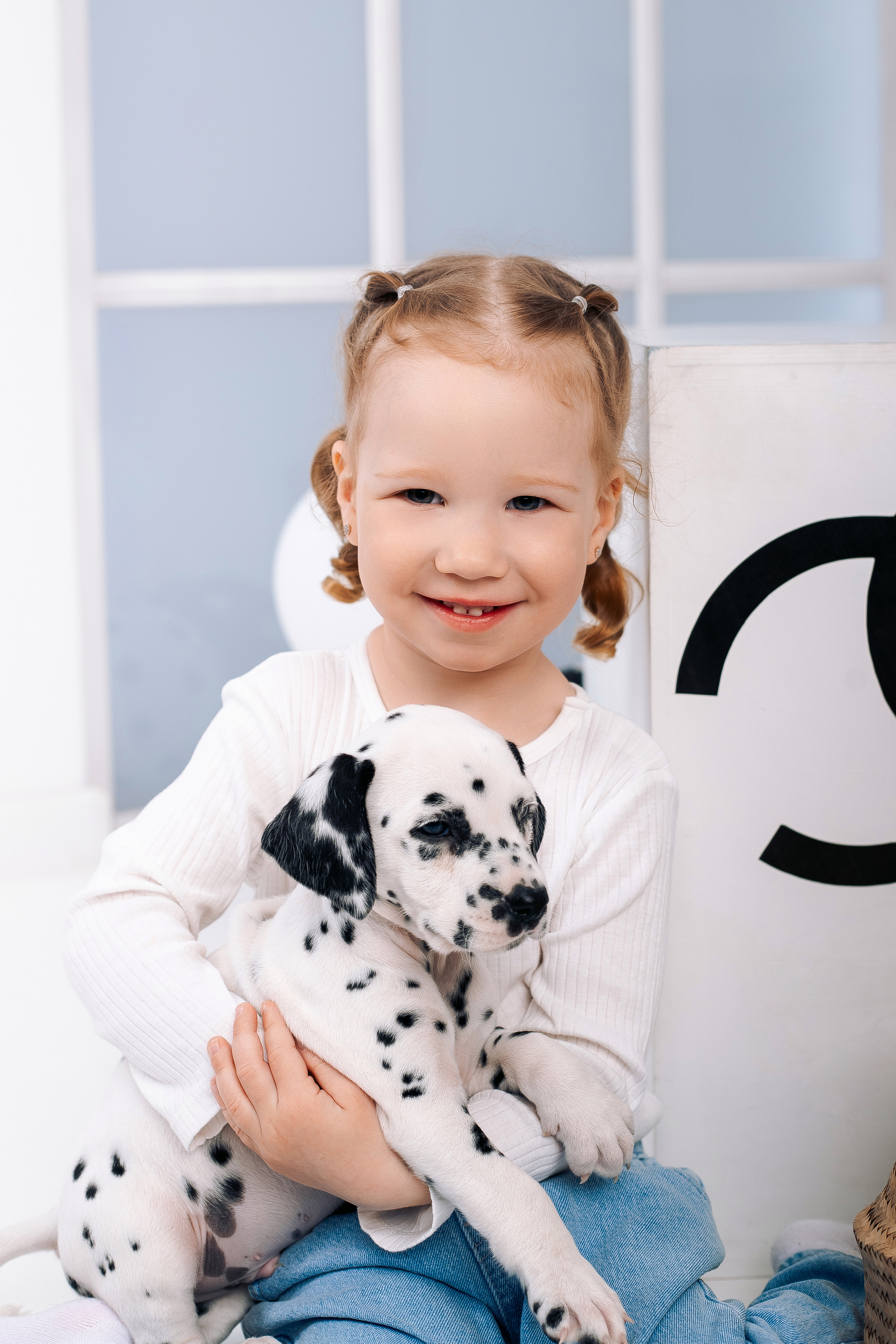 Фотосессия с далматинцами Спб. Фотограф в Санкт-Петербурге, Анна Скворцова