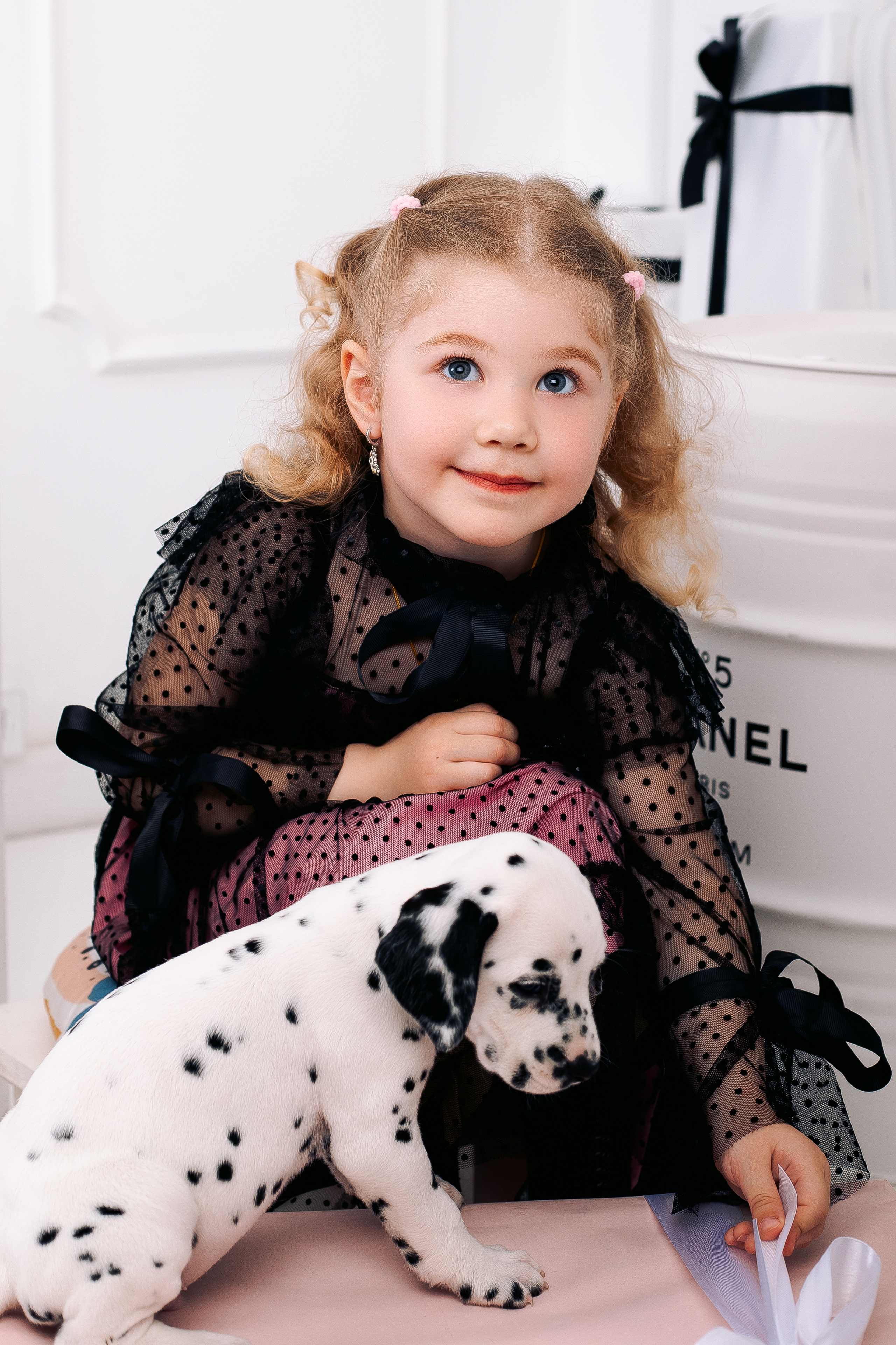 Фотосессия с далматинцами Спб. Фотограф в Санкт-Петербурге, Анна Скворцова