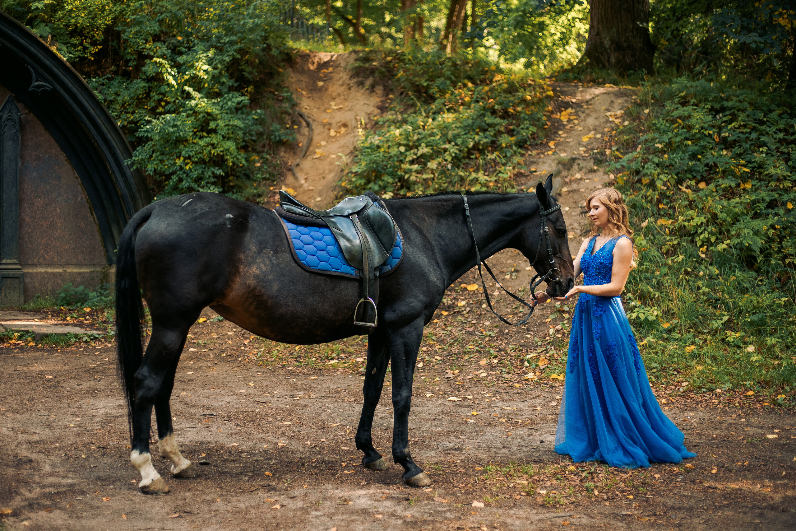 Фотосессия с лошадьми в спб, Шуваловский парк. Фотограф в Санкт-Петербурге, Анна Скворцова