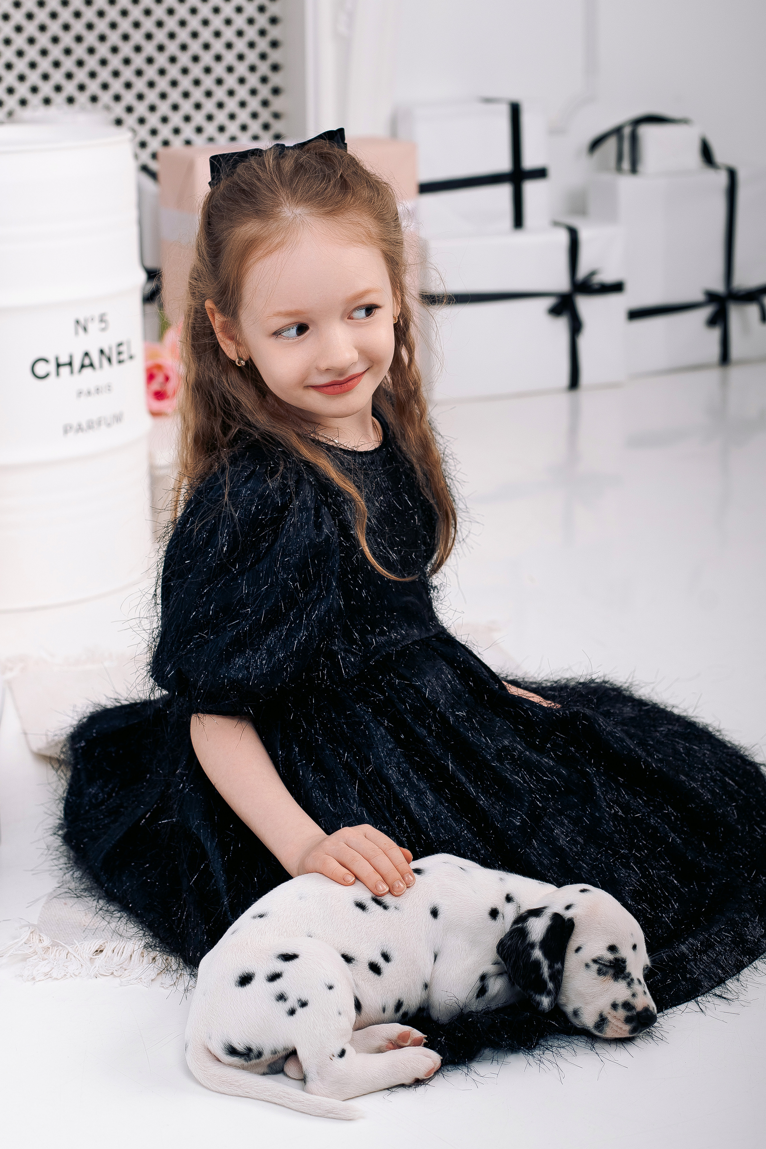 Фотосессия с далматинцами Спб. Фотограф в Санкт-Петербурге, Анна Скворцова