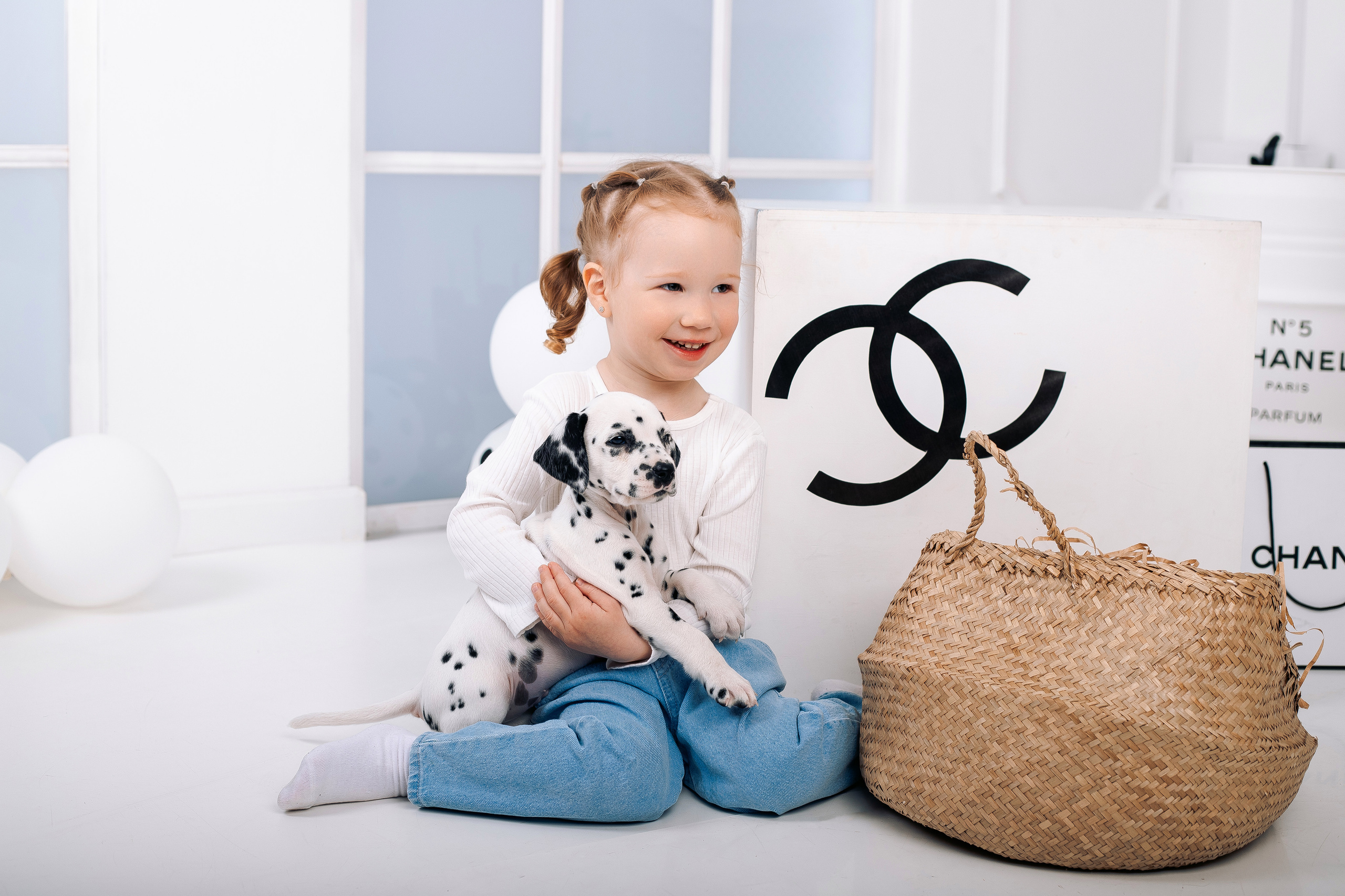 Фотосессия с далматинцами Спб. Фотограф в Санкт-Петербурге, Анна Скворцова