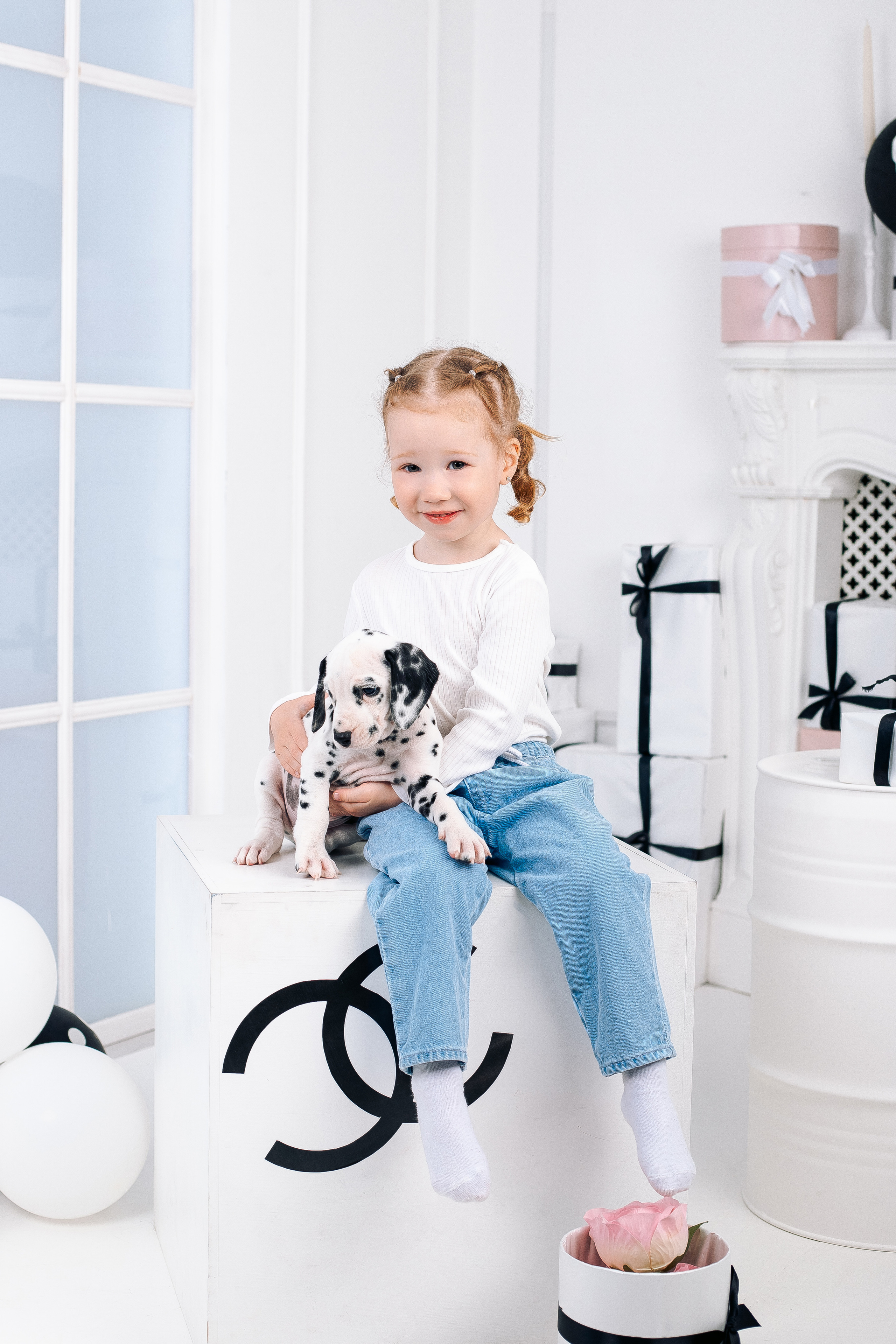 Фотосессия с далматинцами Спб. Фотограф в Санкт-Петербурге, Анна Скворцова