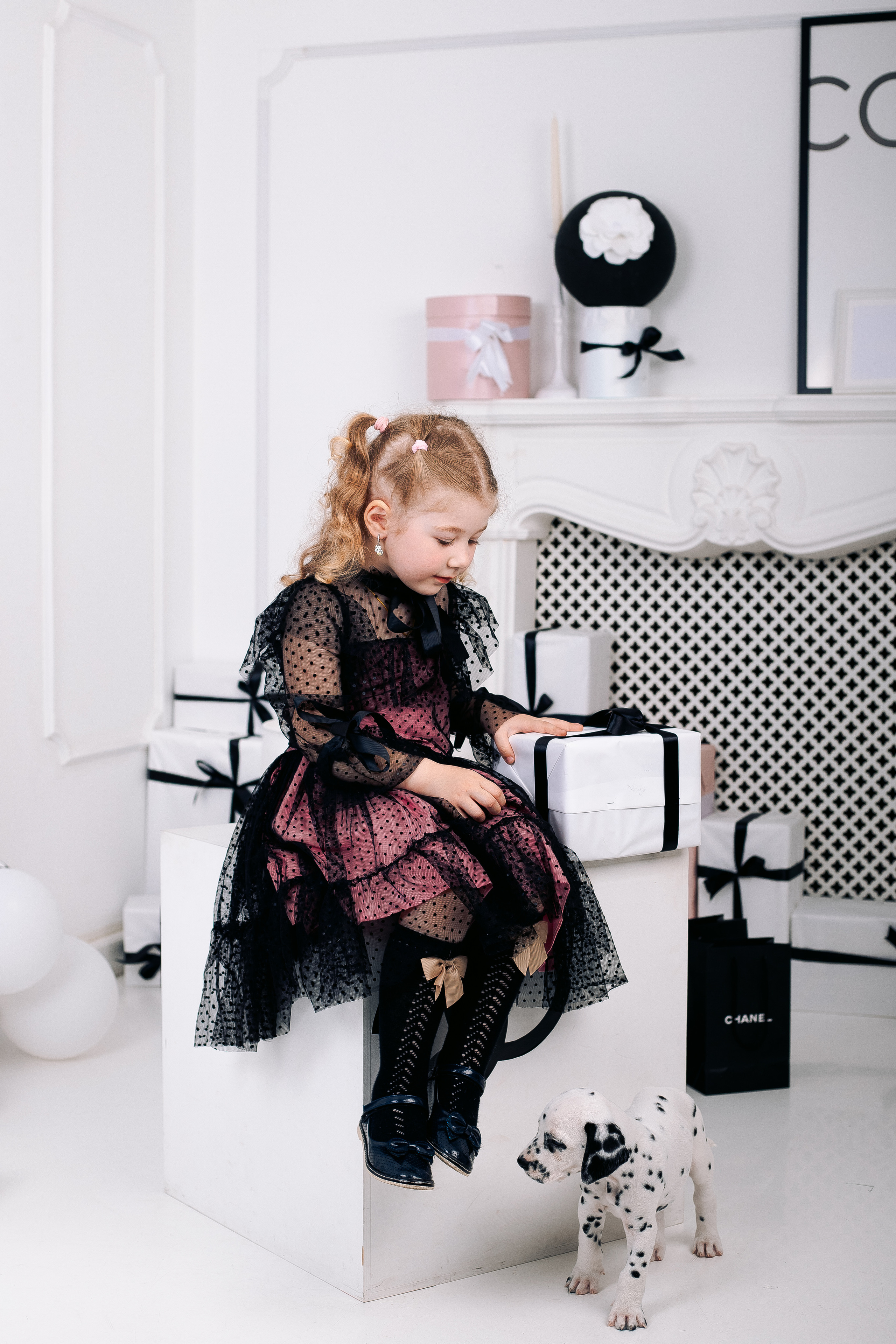 Фотосессия с далматинцами Спб. Фотограф в Санкт-Петербурге, Анна Скворцова