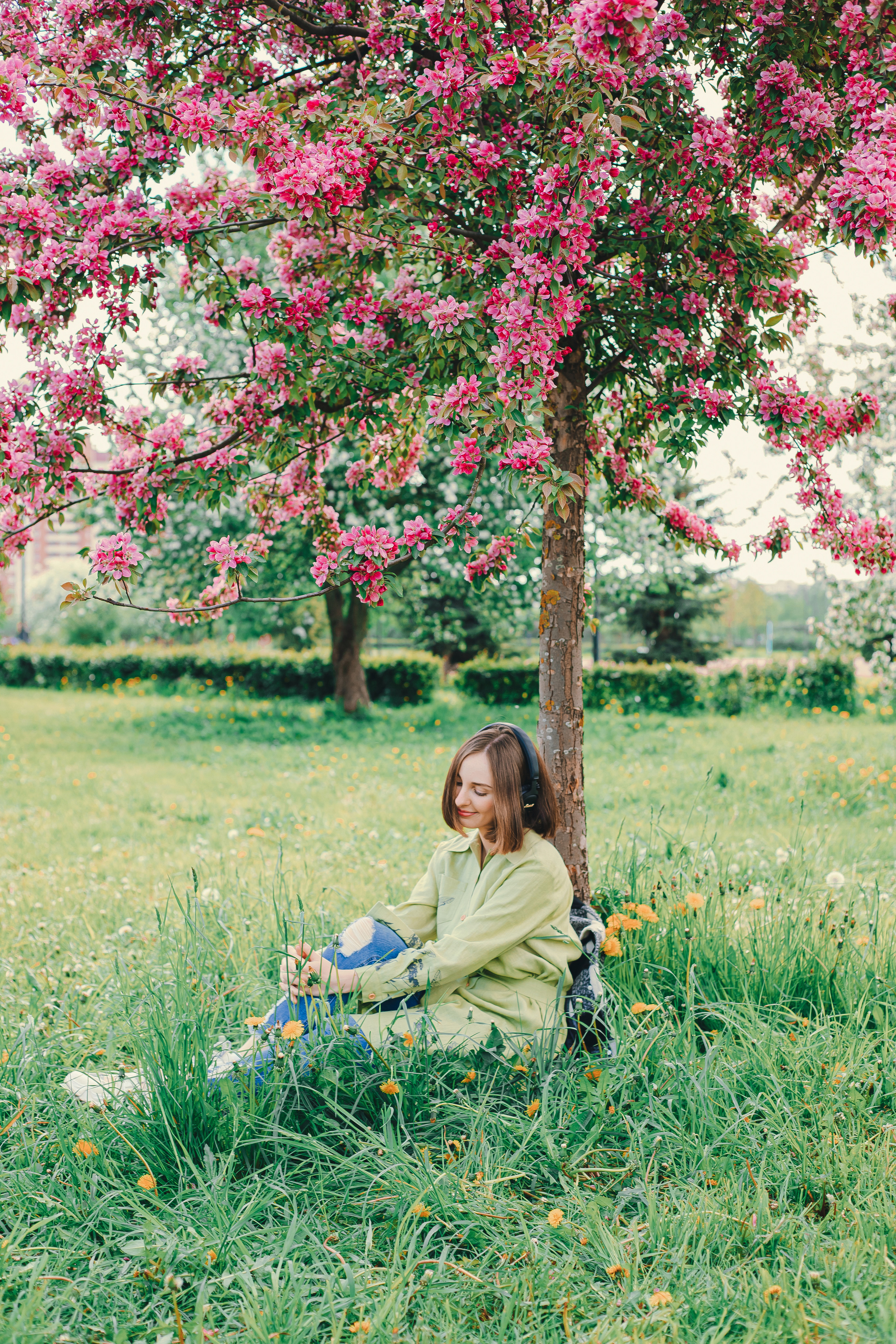 Индивидуальная фотосессия в яблоневом саду. Фотограф в Санкт-Петербурге, Анна Скворцова