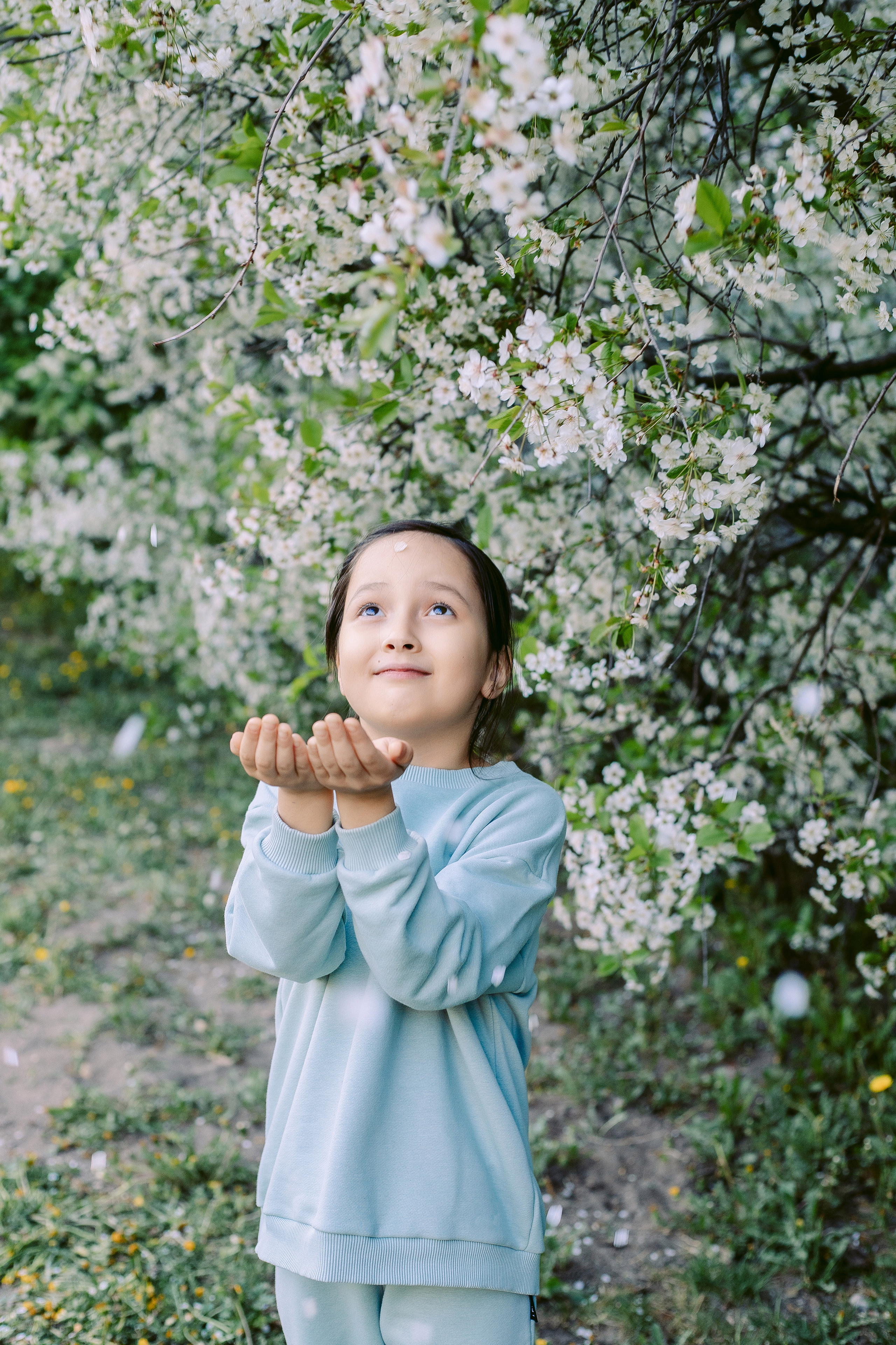 Фотосессия со сливой и черемухой. Фотограф в Санкт-Петербурге, Анна Скворцова