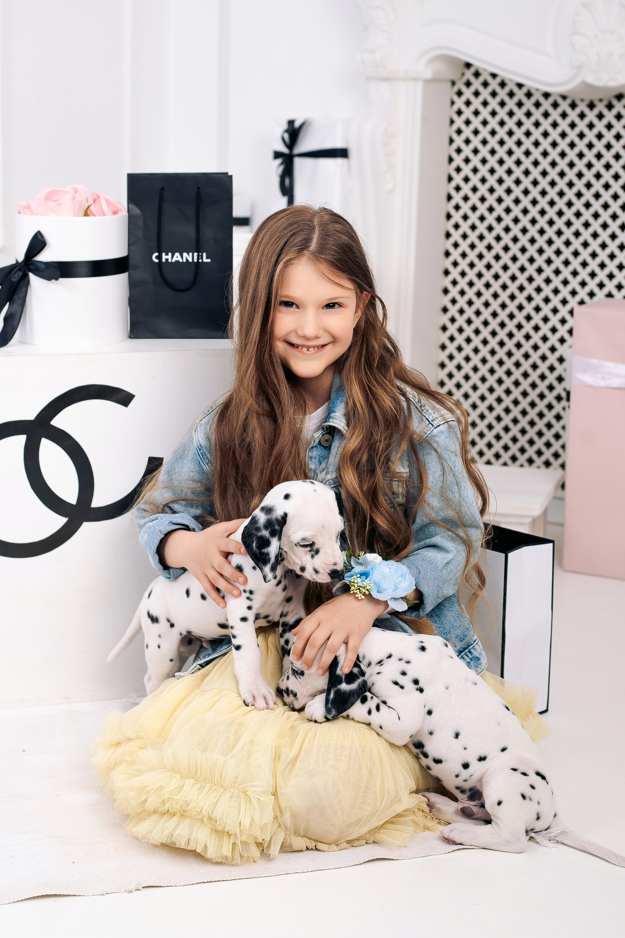 Фотосессия с далматинцами Спб. Фотограф в Санкт-Петербурге, Анна Скворцова