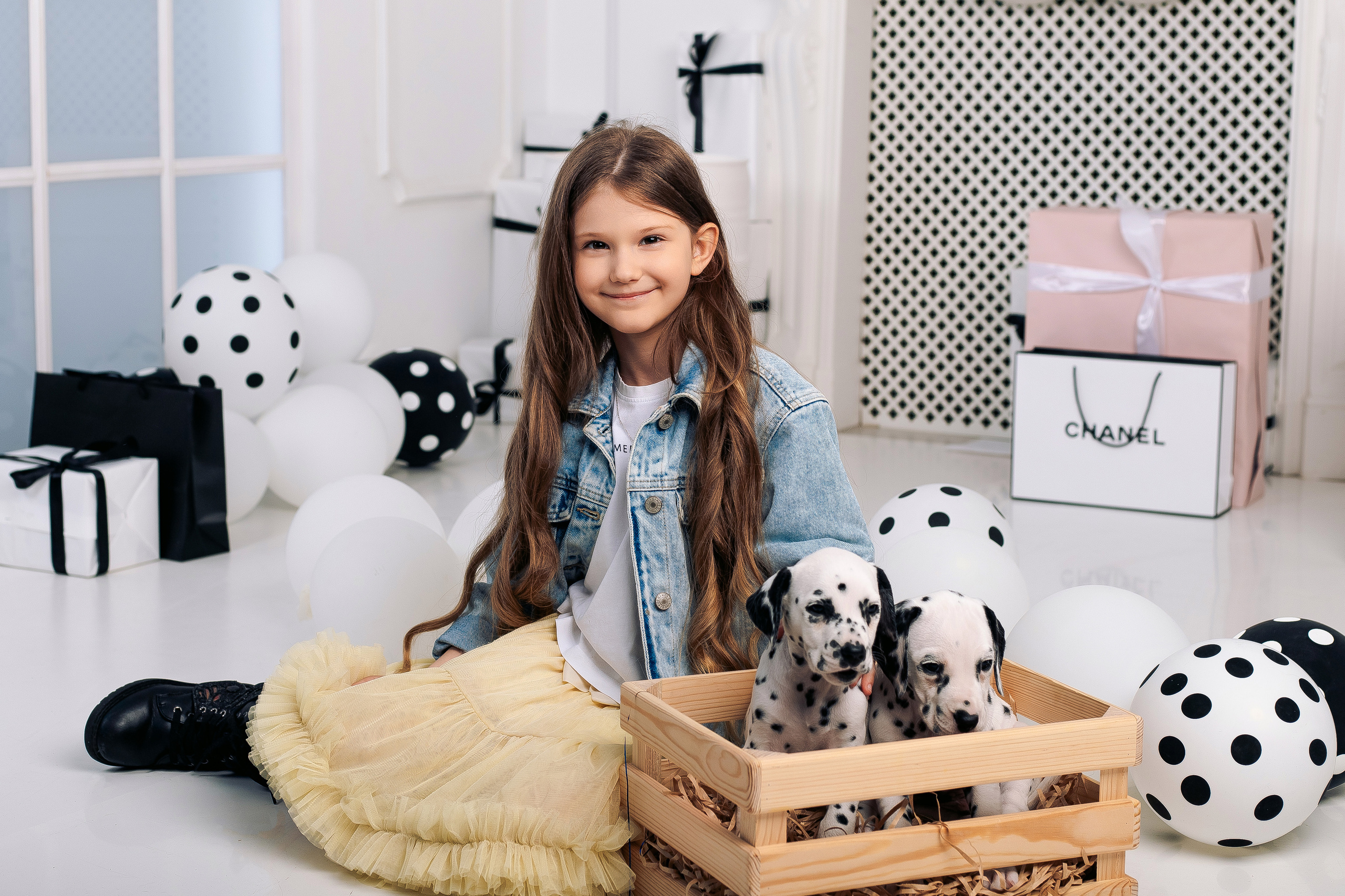 Фотосессия с далматинцами Спб. Фотограф в Санкт-Петербурге, Анна Скворцова