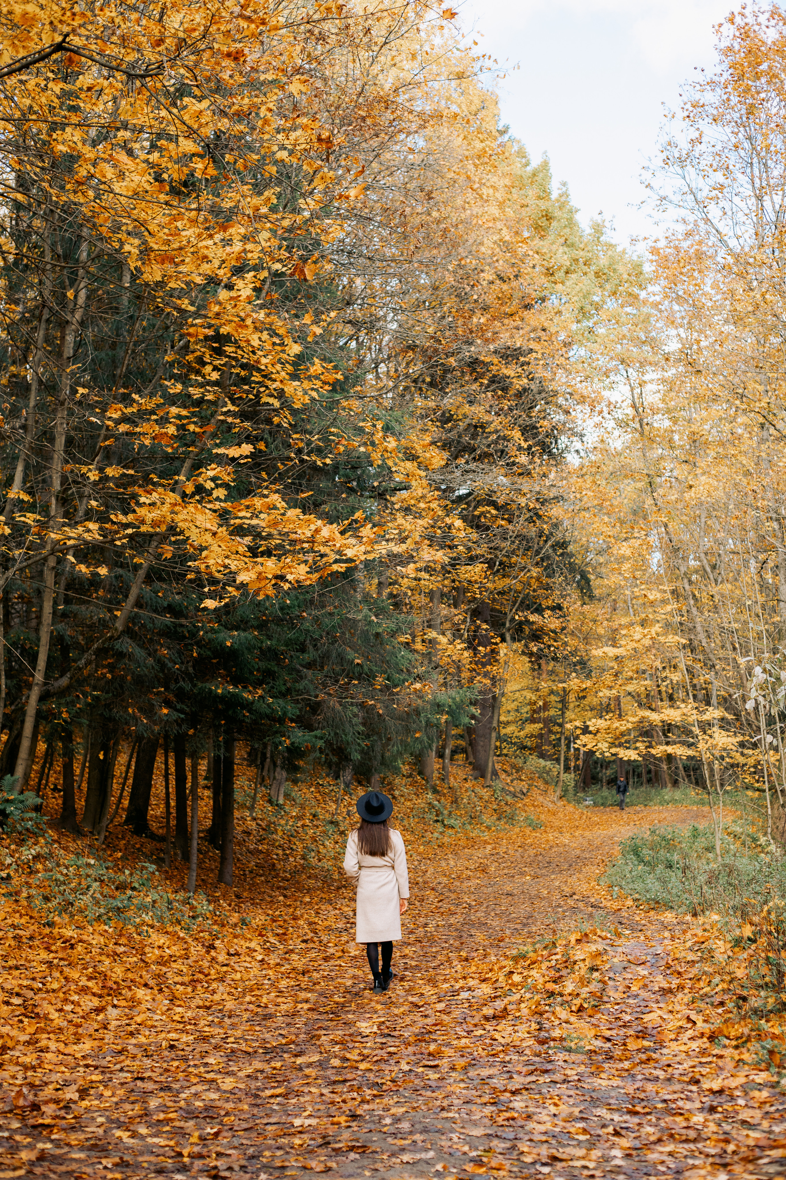 Осенняя фотопрогулка в Санкт-Петербурге. Фотограф в Санкт-Петербурге, Анна Скворцова