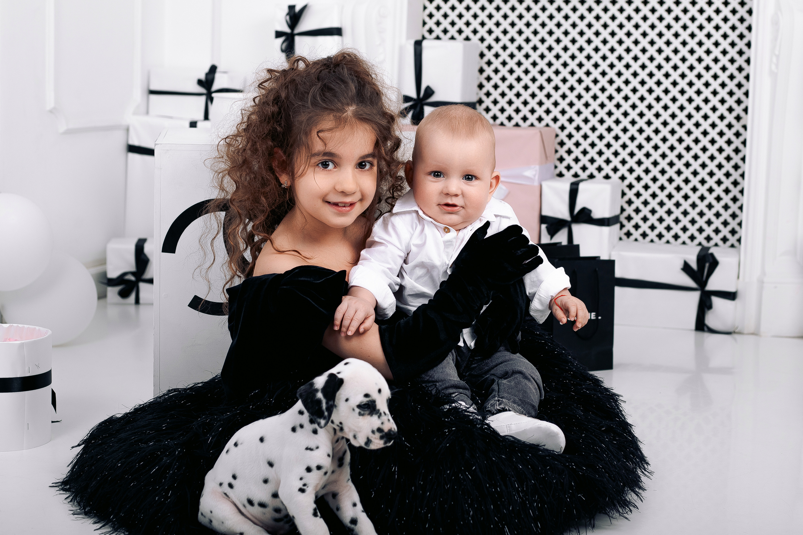 Фотосессия с далматинцами Спб. Фотограф в Санкт-Петербурге, Анна Скворцова