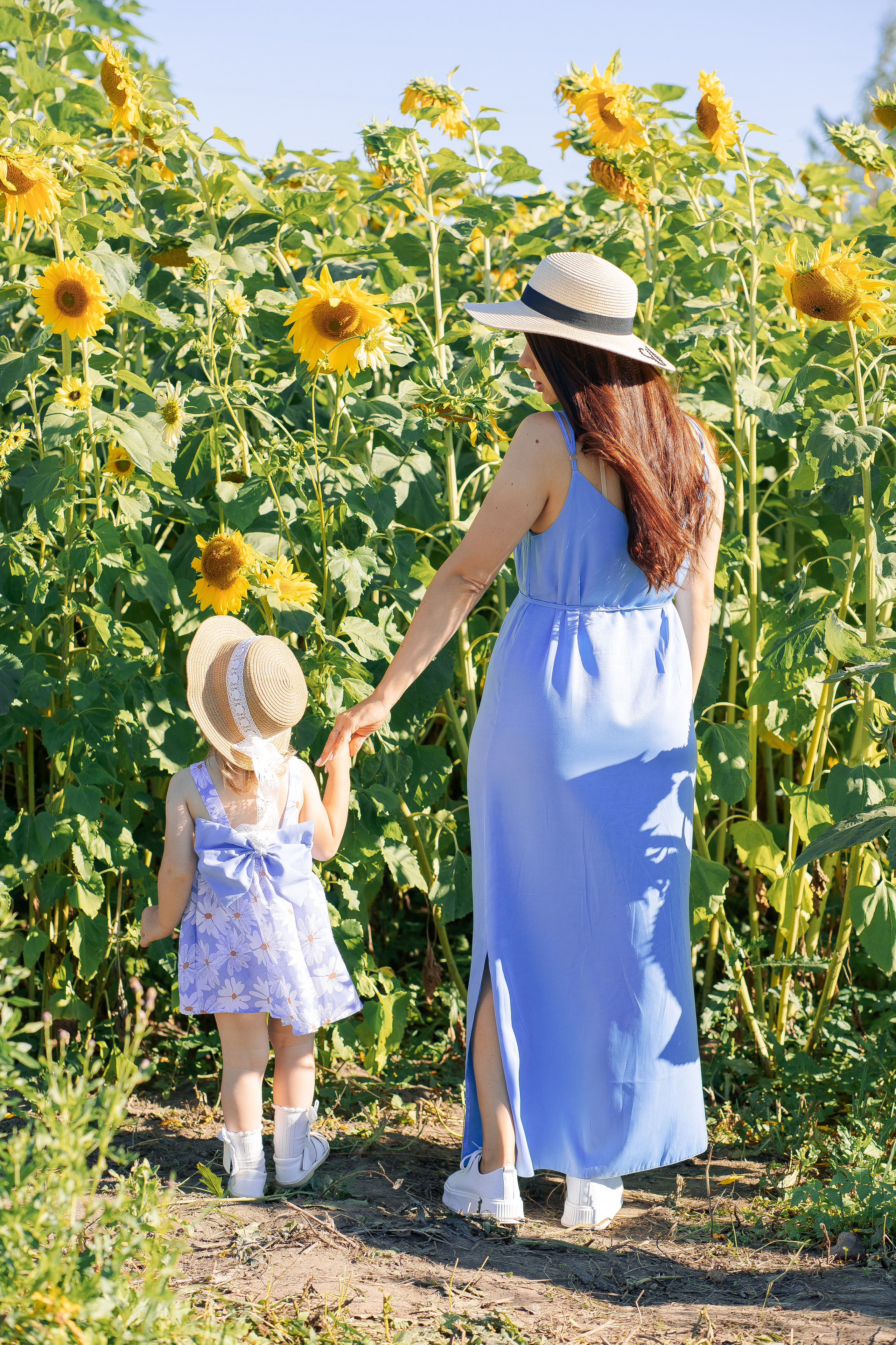 Фотосессия семейная в подсолнухах спб. Фотограф в Санкт-Петербурге, Анна Скворцова