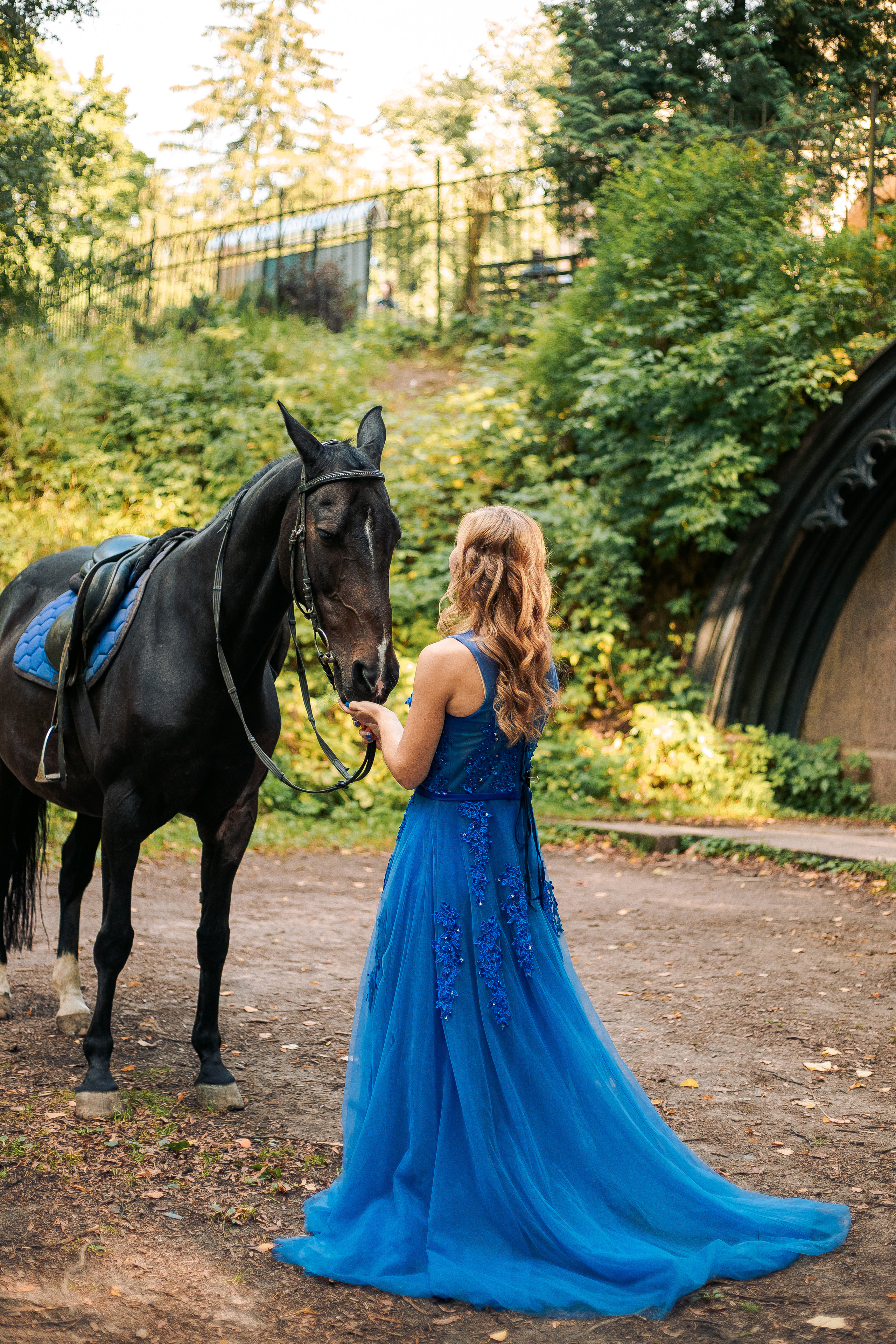 Фотосессия с лошадьми в спб, Шуваловский парк. Фотограф в Санкт-Петербурге, Анна Скворцова
