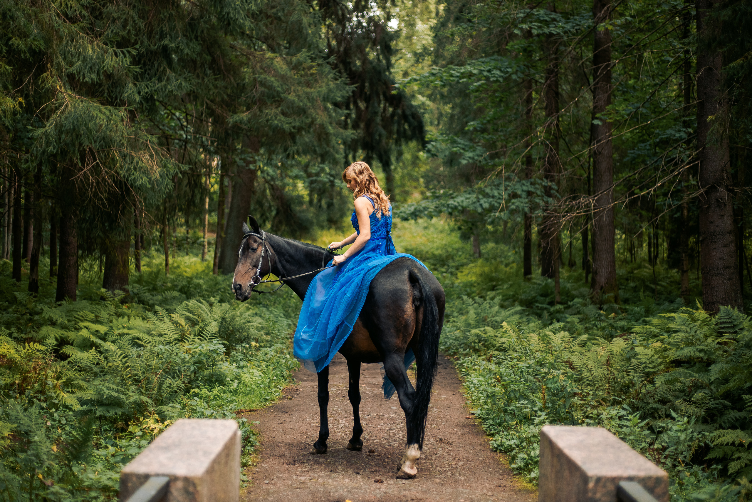 Фотосессия с лошадьми в спб, Шуваловский парк. Фотограф в Санкт-Петербурге, Анна Скворцова