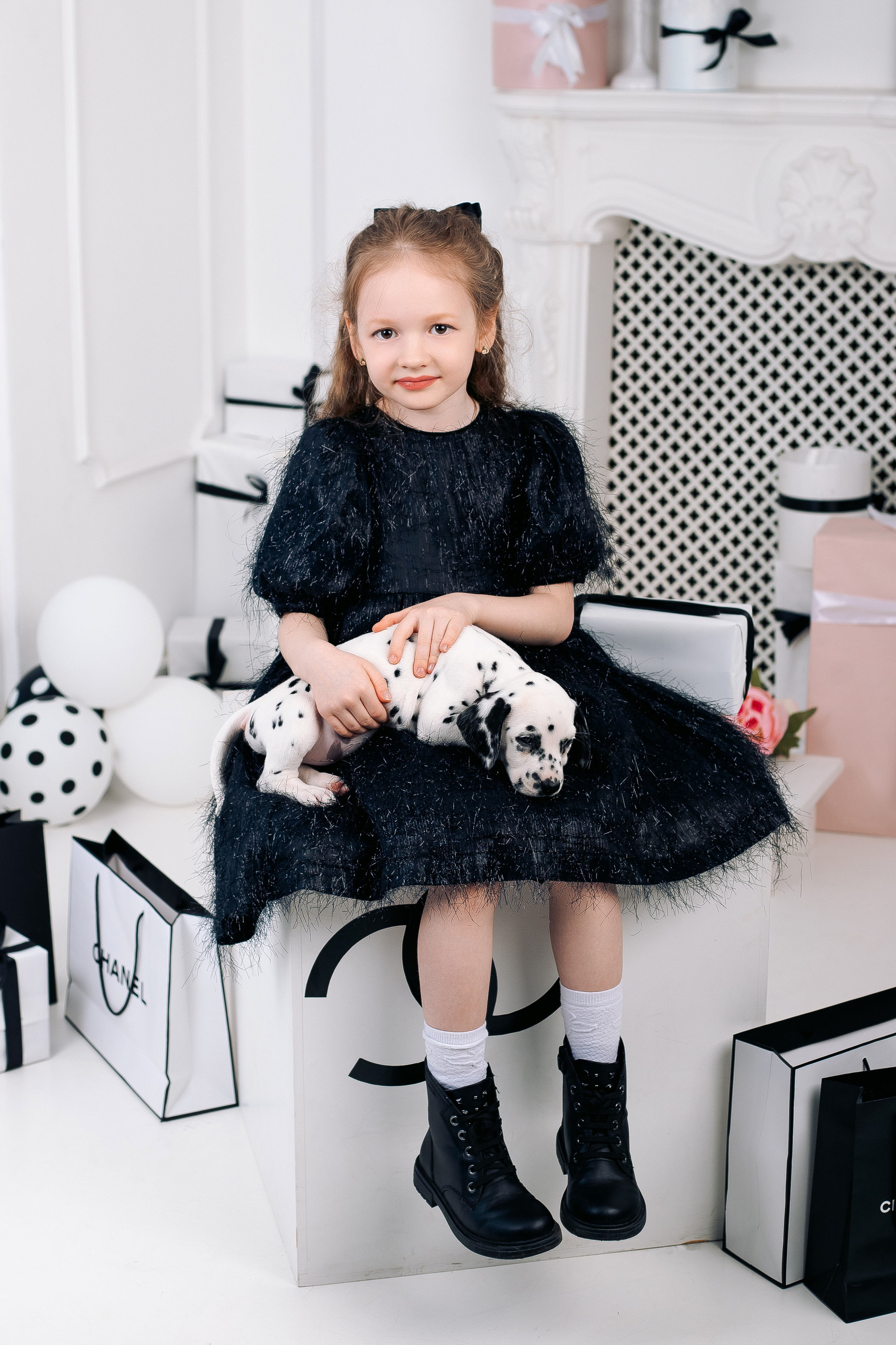 Фотосессия с далматинцами Спб. Фотограф в Санкт-Петербурге, Анна Скворцова