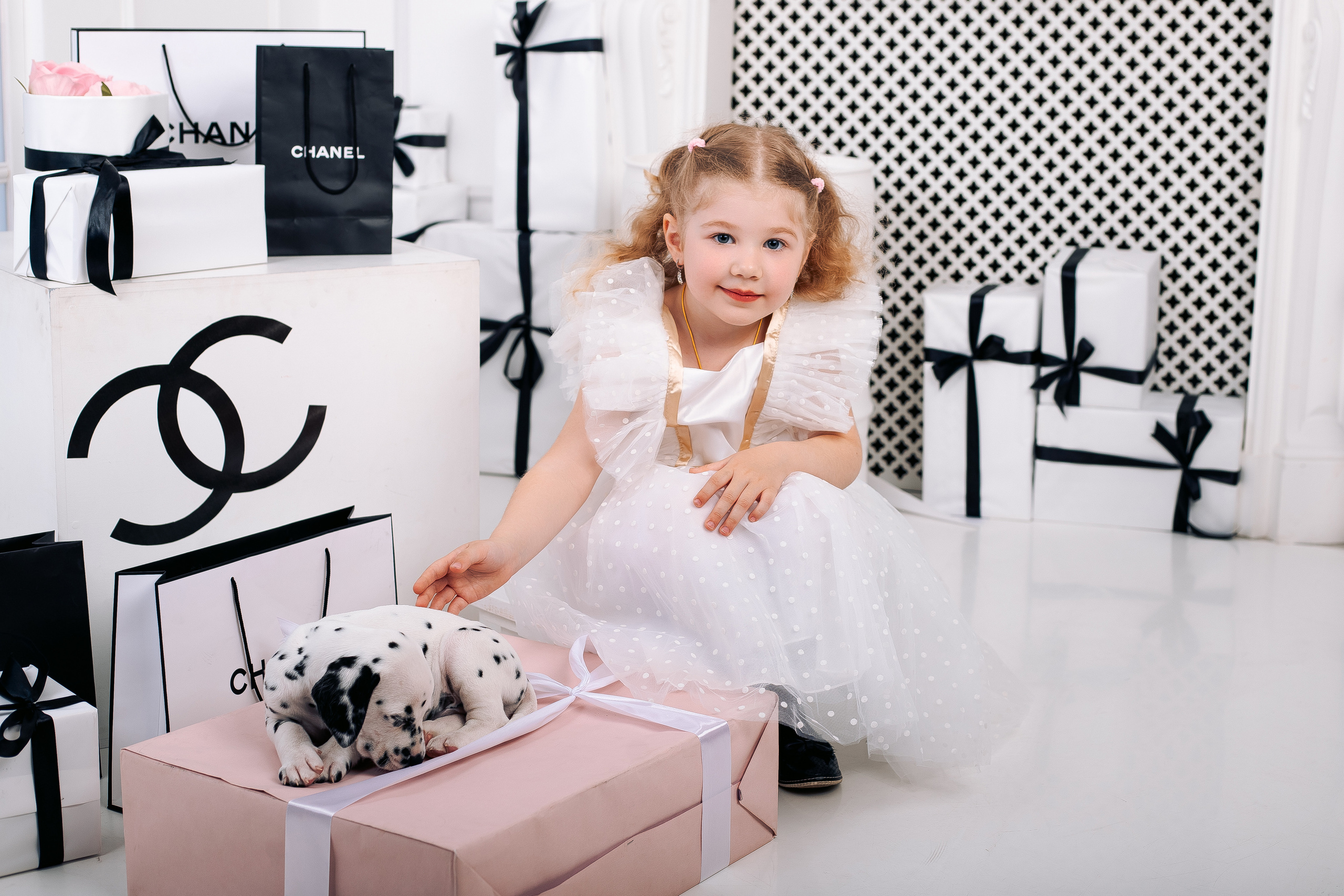 Фотосессия с далматинцами Спб. Фотограф в Санкт-Петербурге, Анна Скворцова