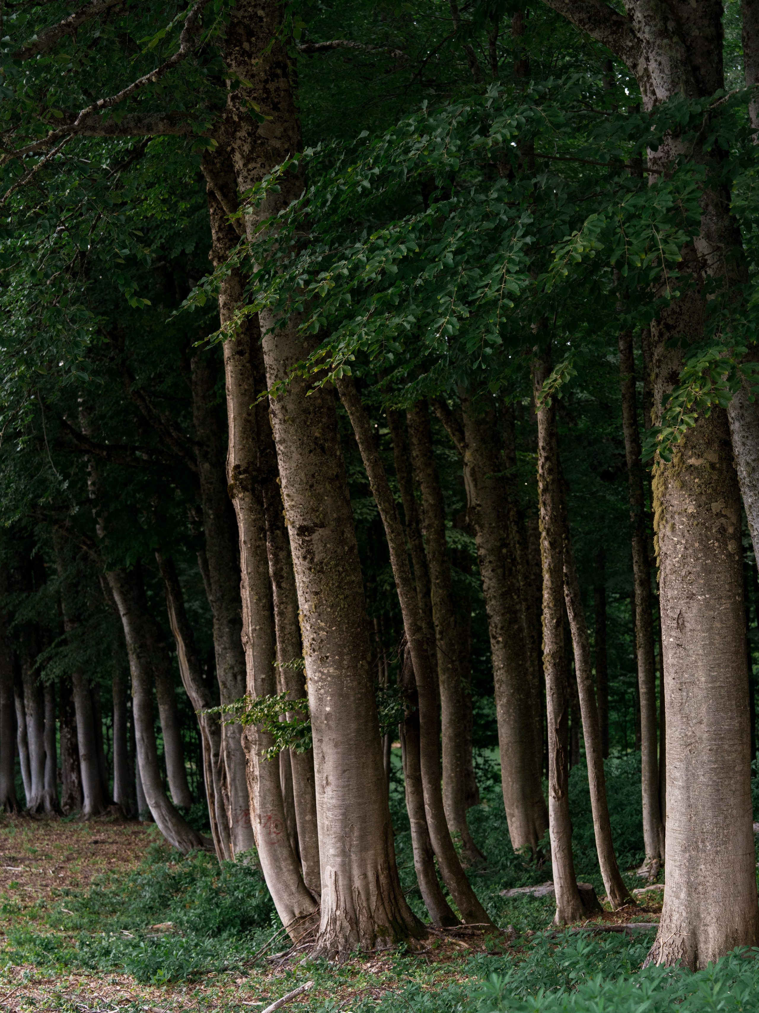 Путешествия и пейзаж. Репортажный фотограф в Красной Поляне и Сочи Павлюченко Екатерина