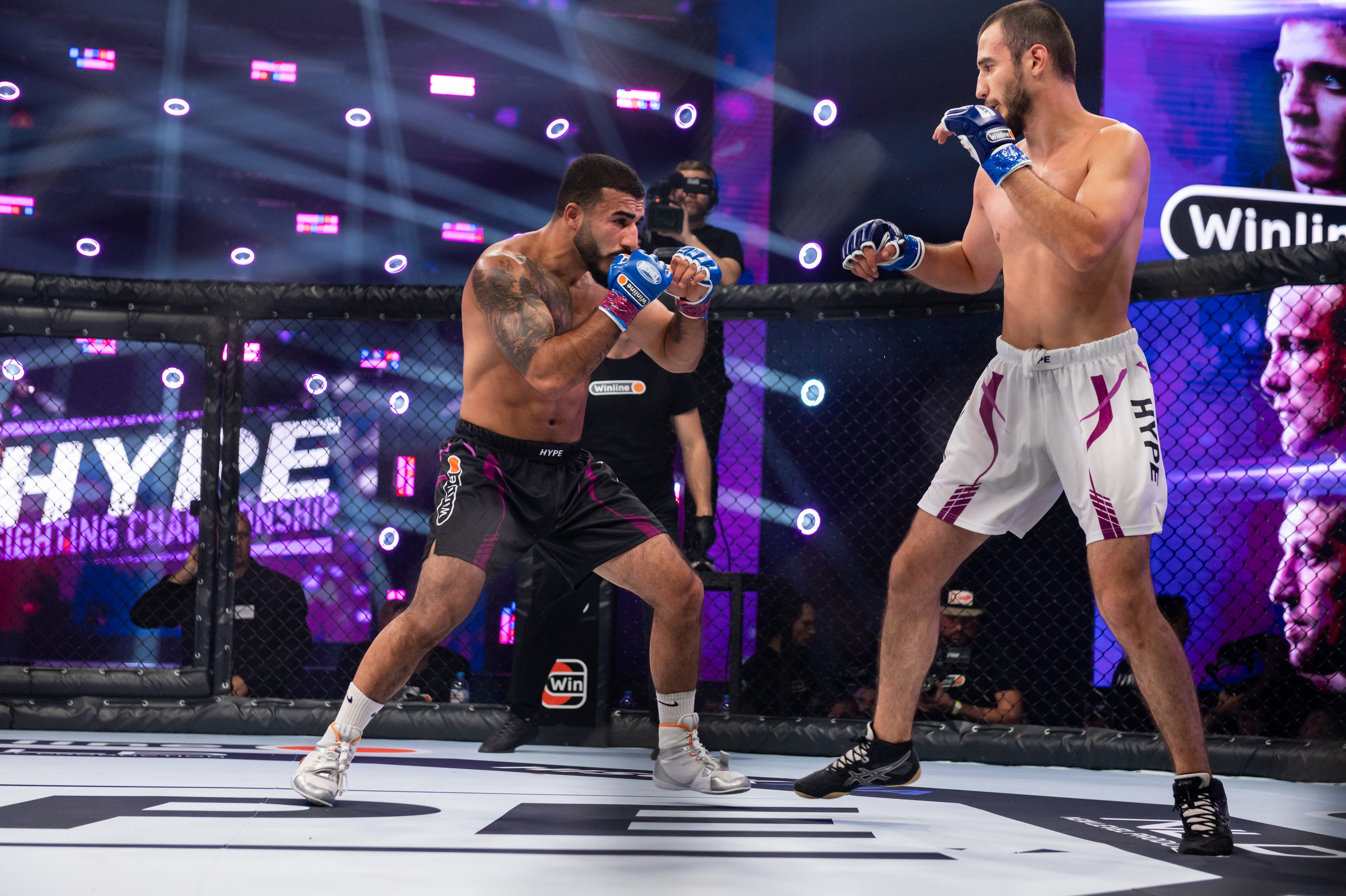 Бои. Репортажный фотограф в Красной Поляне и Сочи Павлюченко Екатерина