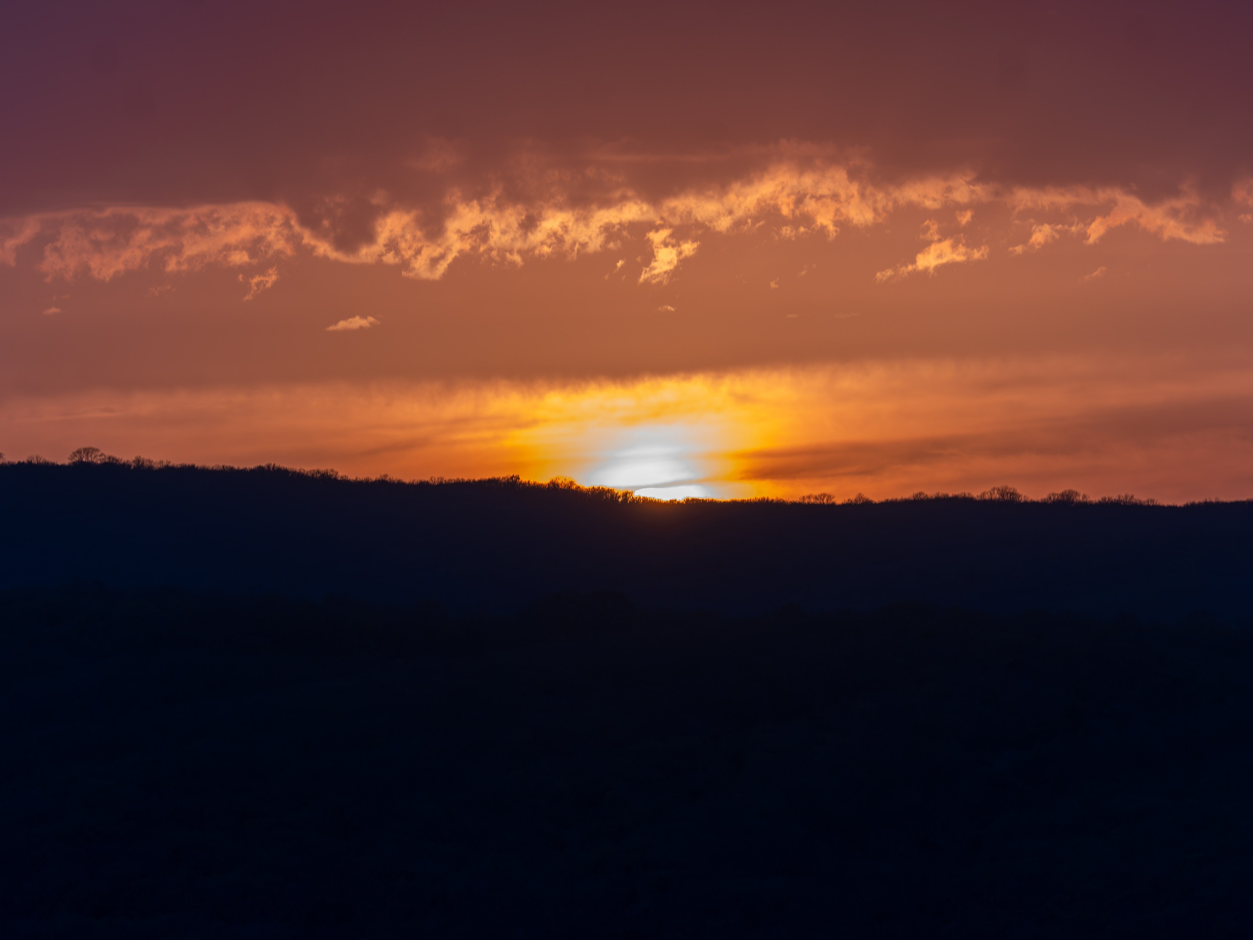 Литературная мастерская с Ольгой Шутовой в «Винотеррии». Репортажный фотограф в Красной Поляне и Сочи Павлюченко Екатерина