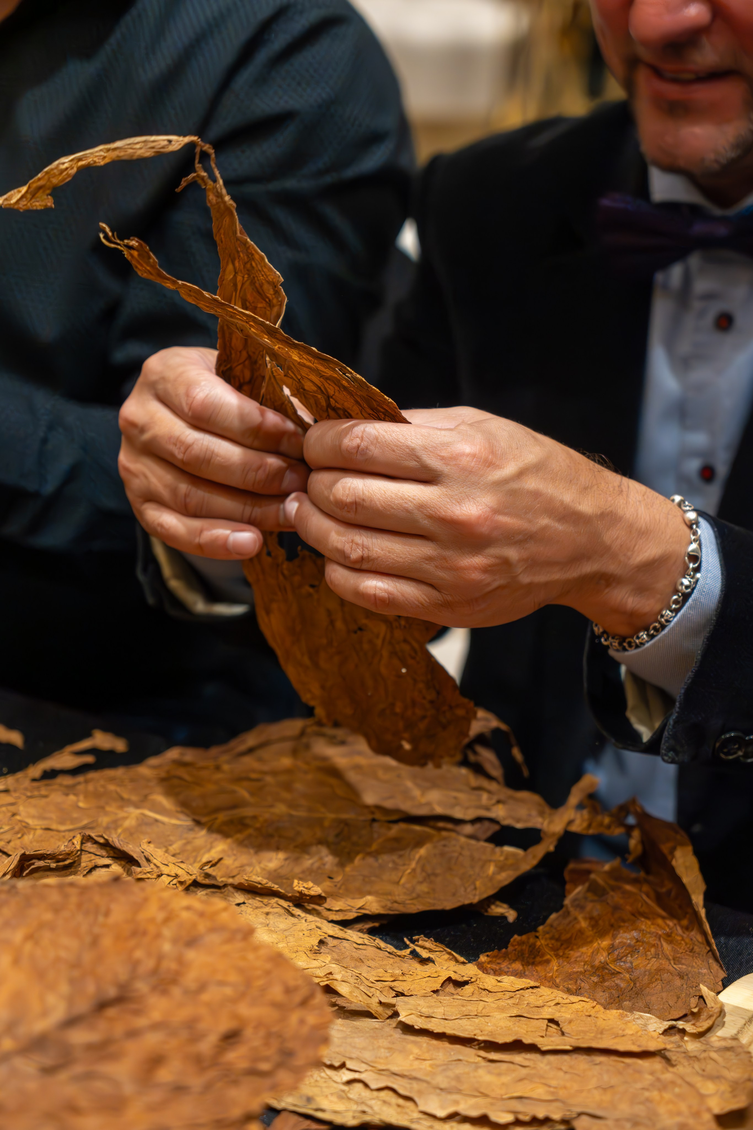 MICE мероприятие для компании «Базис». Репортажный фотограф в Красной Поляне и Сочи Павлюченко Екатерина