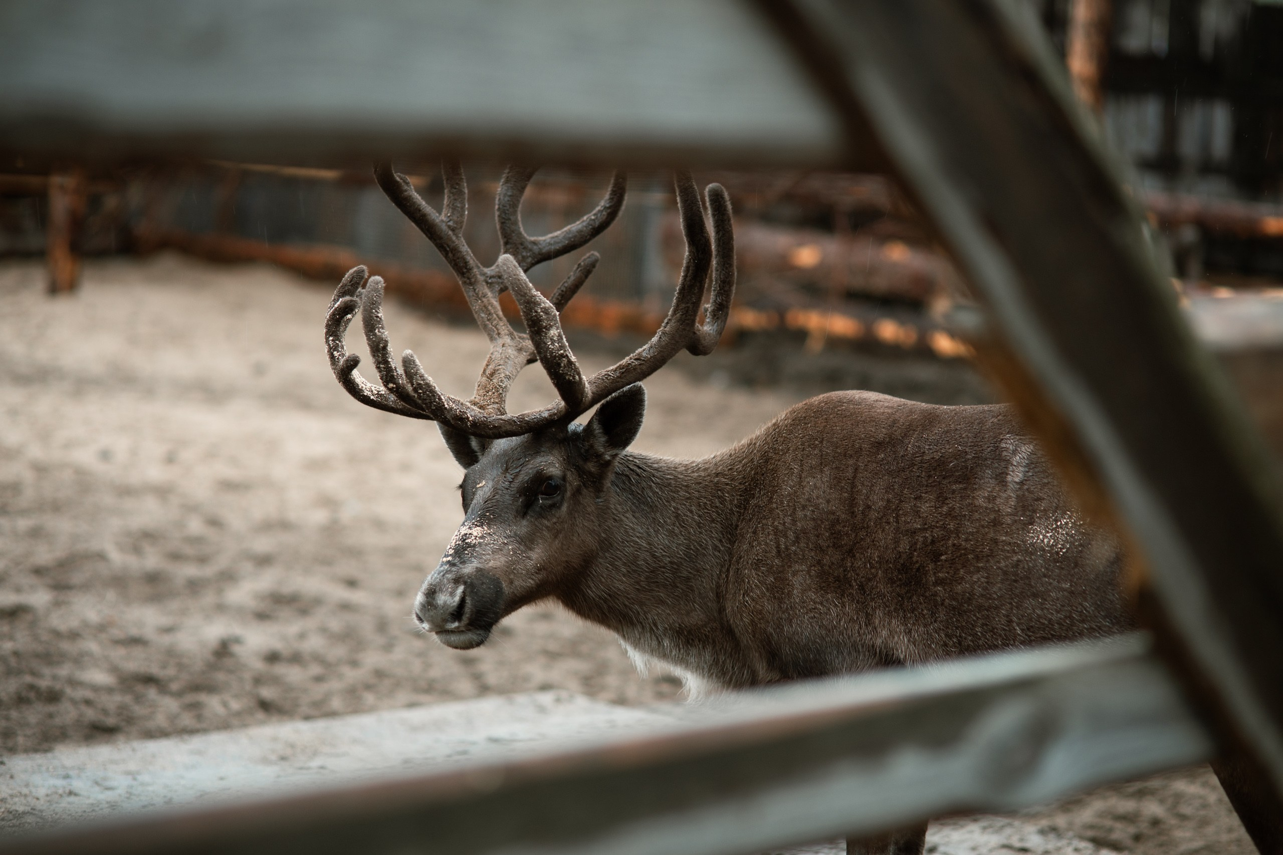 Мурманск. Фотограф Сергей Красильников