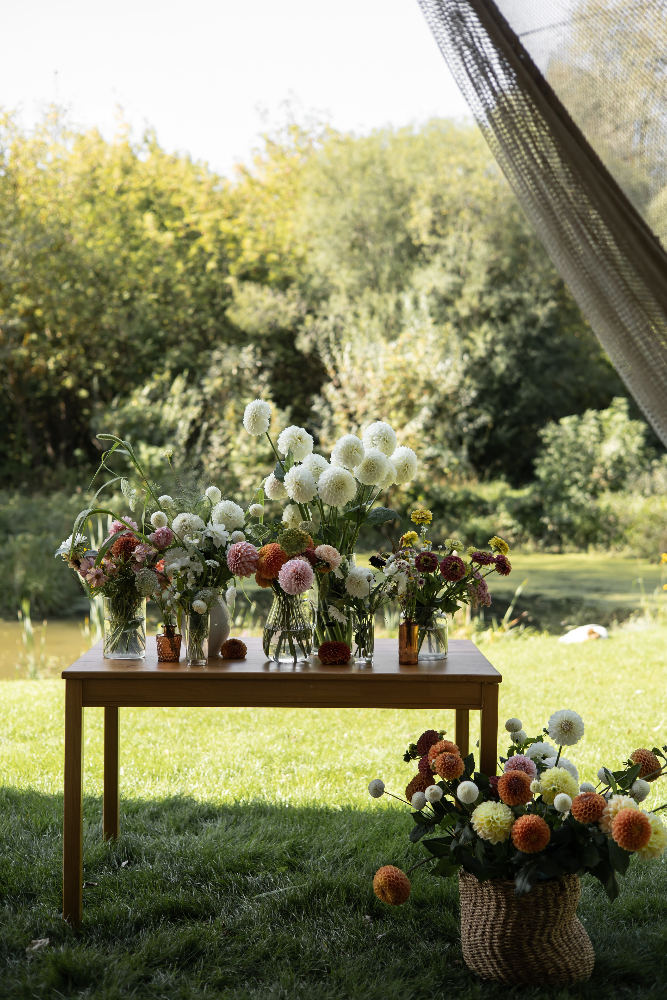 ДИНИЯ. Фотограф Элла Ефимова