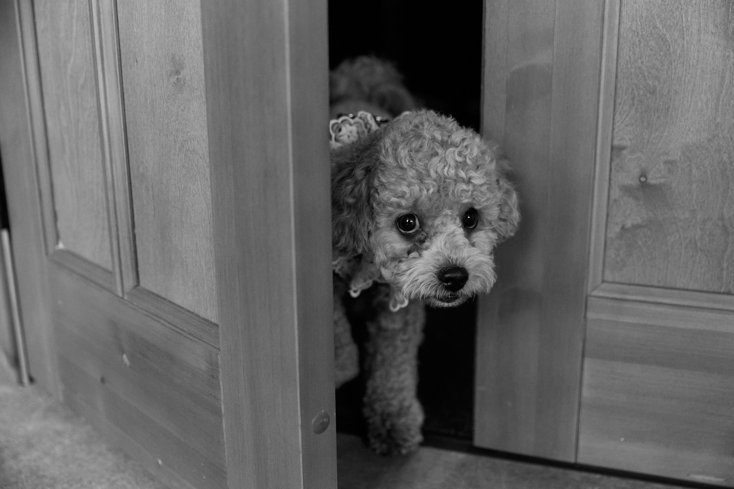 Посмотреть серию. Свадебный и семейный фотограф в Красноярске Тряпчев Павел