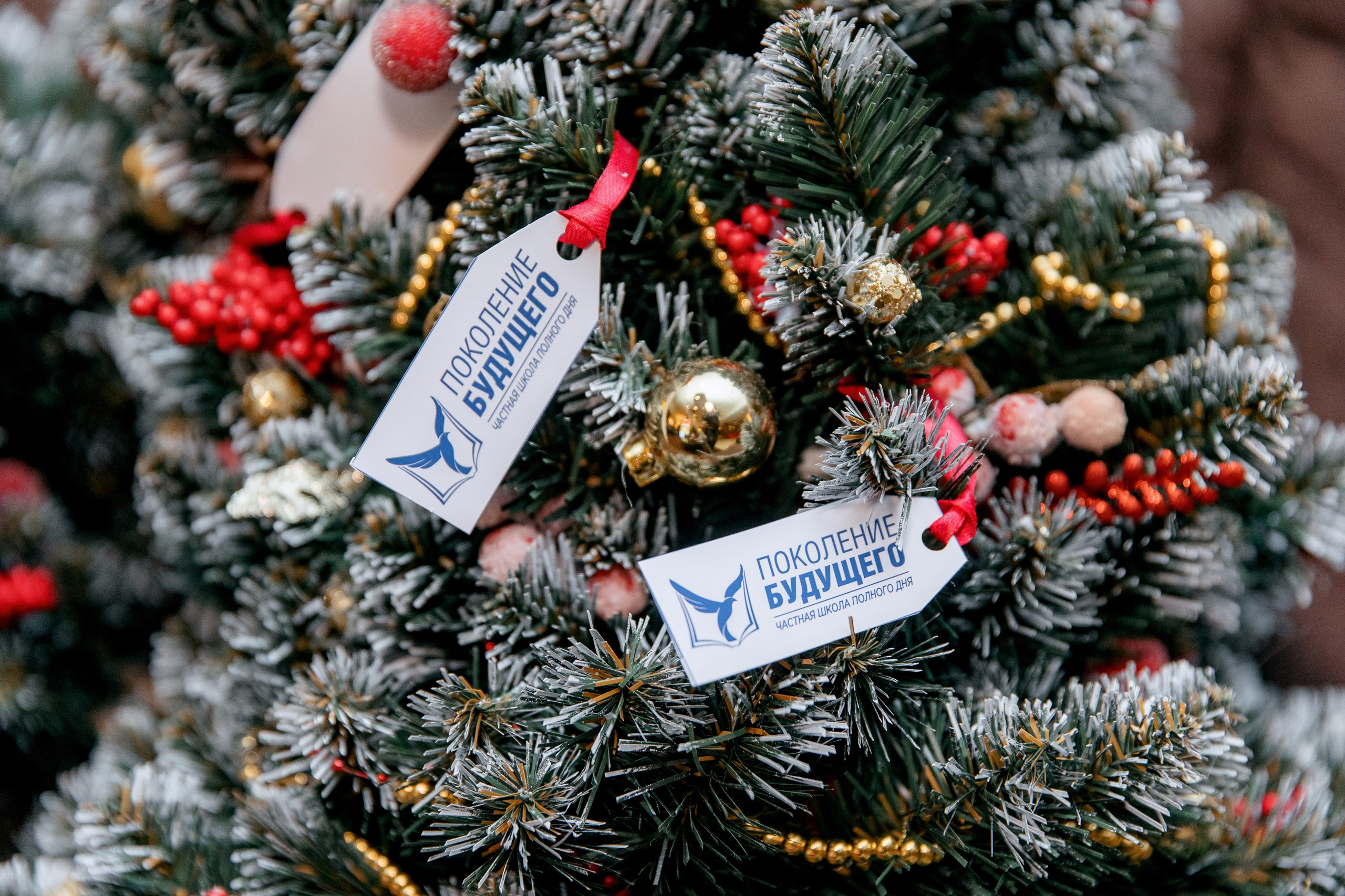 ПОКОЛЕНИЕ БУДУЩЕГО. Фотограф в Красноярске